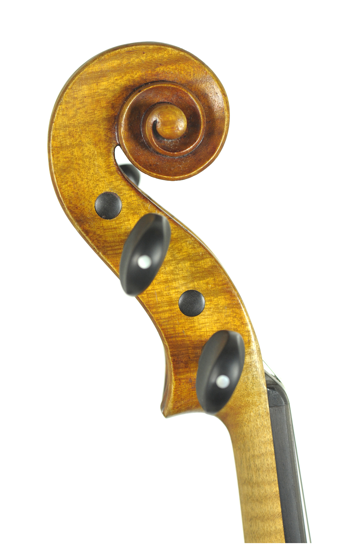 American violin, Marinus Petersen, Chicago 1916 Violins, Chicago / Marinus Petersen