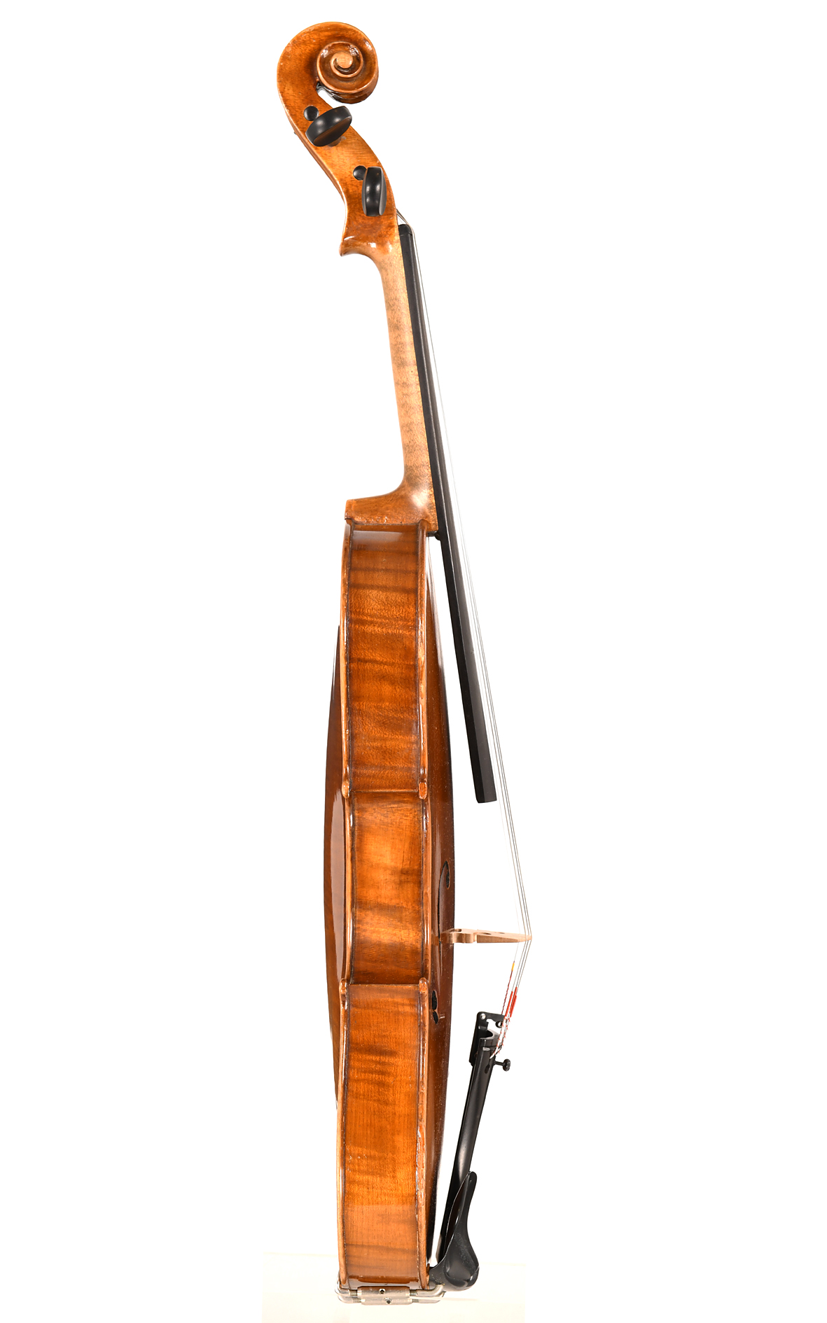 Sächsische Violine nach Jacobus Stainer - Zargen