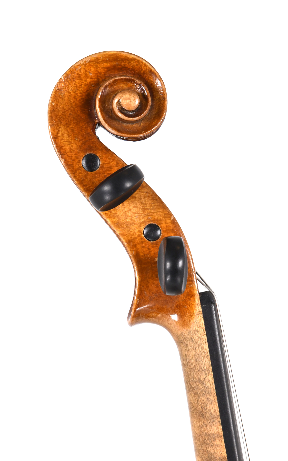 Sächsische Violine nach Jacobus Stainer - Schnecke
