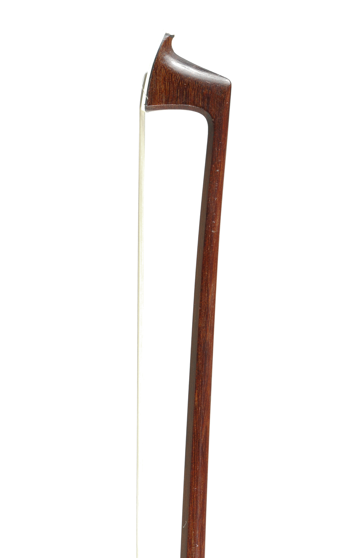 Knopf Master violin bow full of character Violin bows