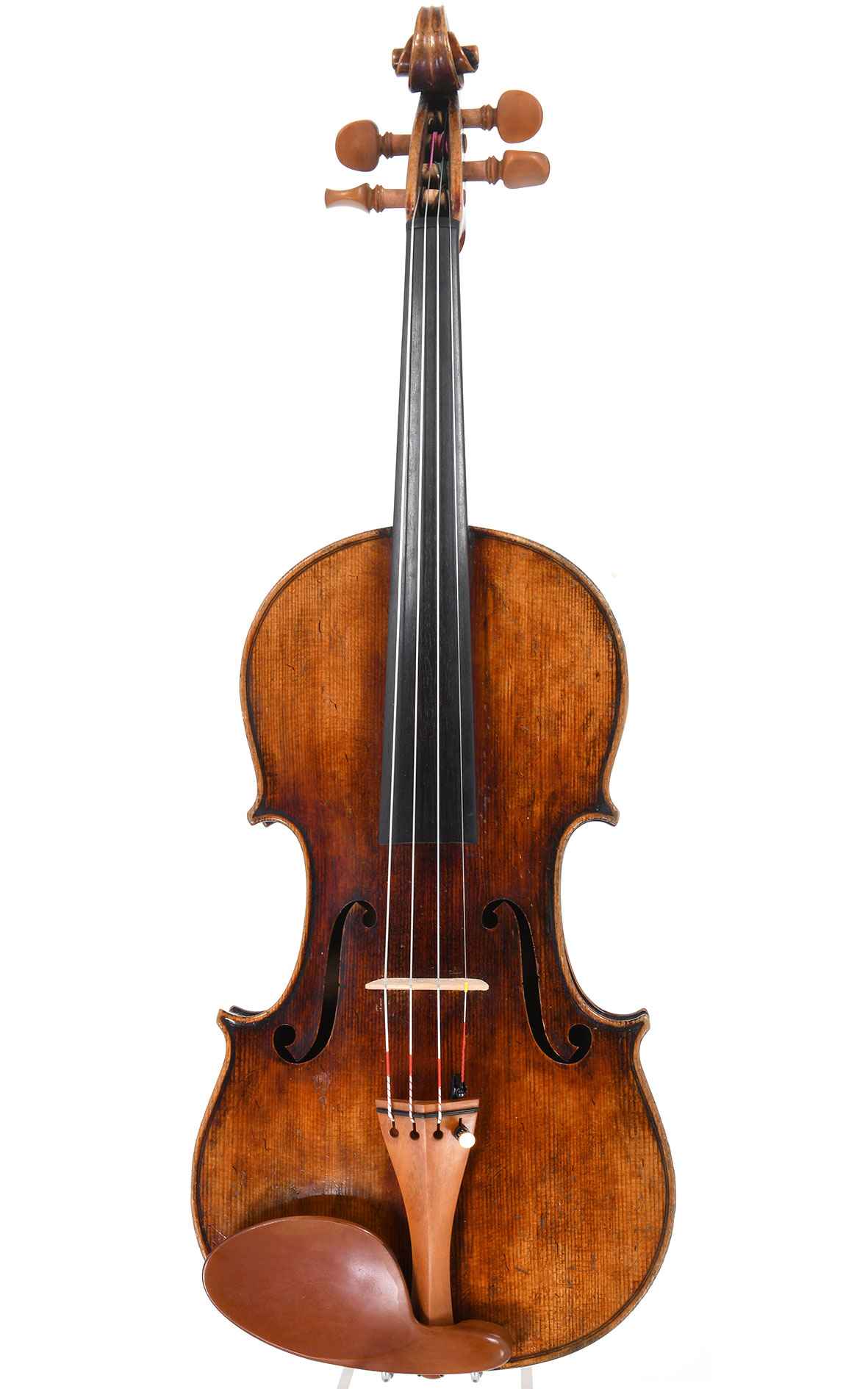 german-bohemian-7897-