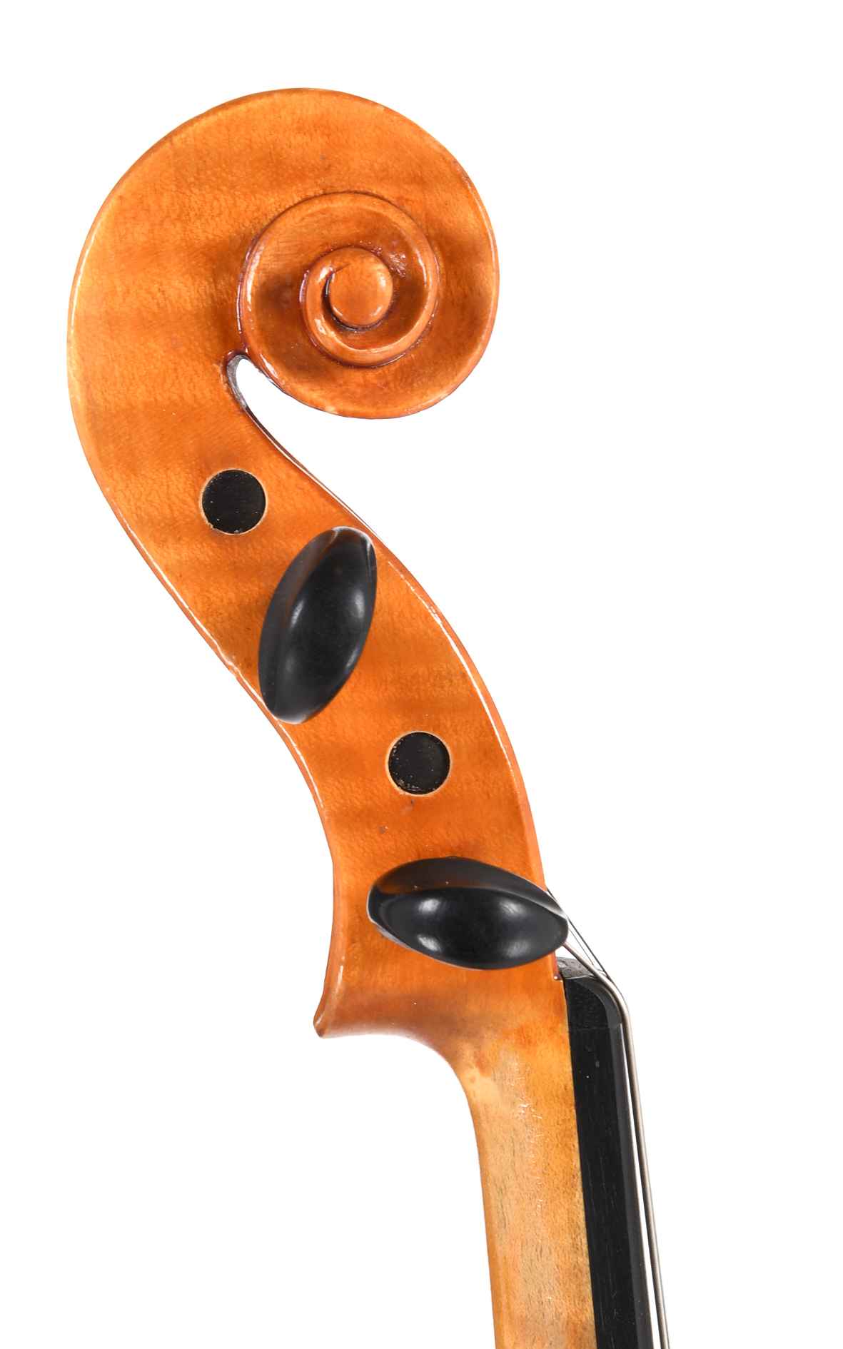 Lunar Violin工房 CLEARANCE Bunnel Premier Student Violin Outfit | Kennedy Violins