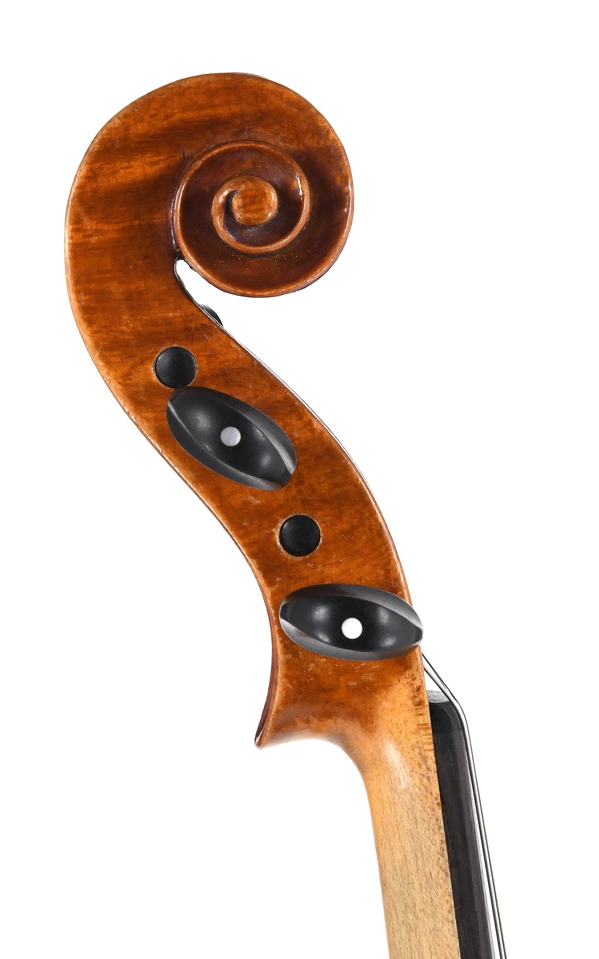 Old violin from Germany Julius Heinrich Zimmermann, Leipzig