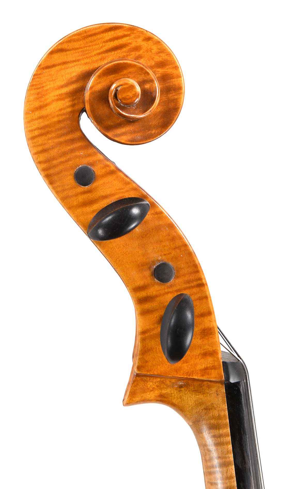 Italian Rant Cello Professional Italian cello by Filippo Zanisi, Castelleone 1987