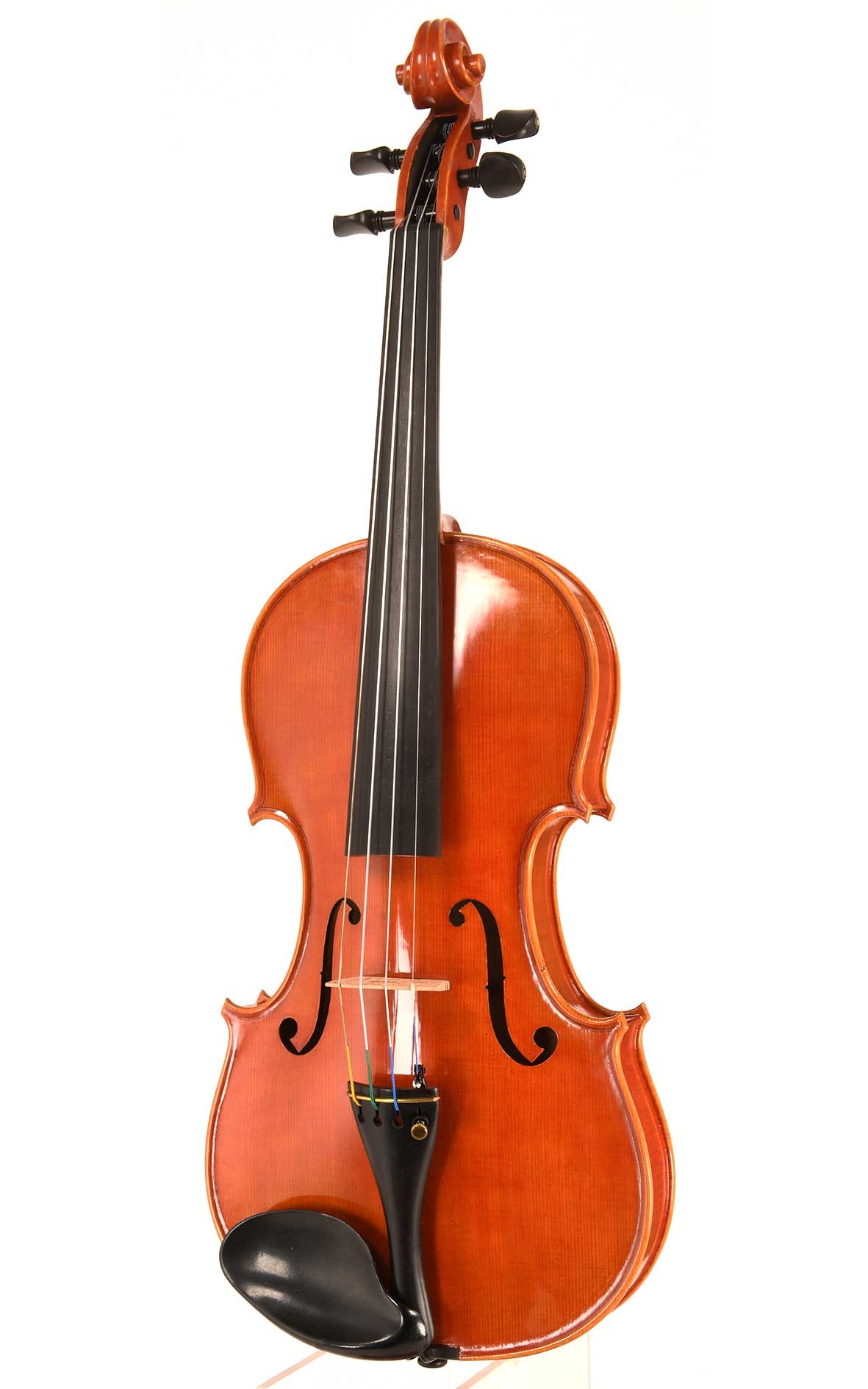 Italienische Geige von Marco Pandozzi