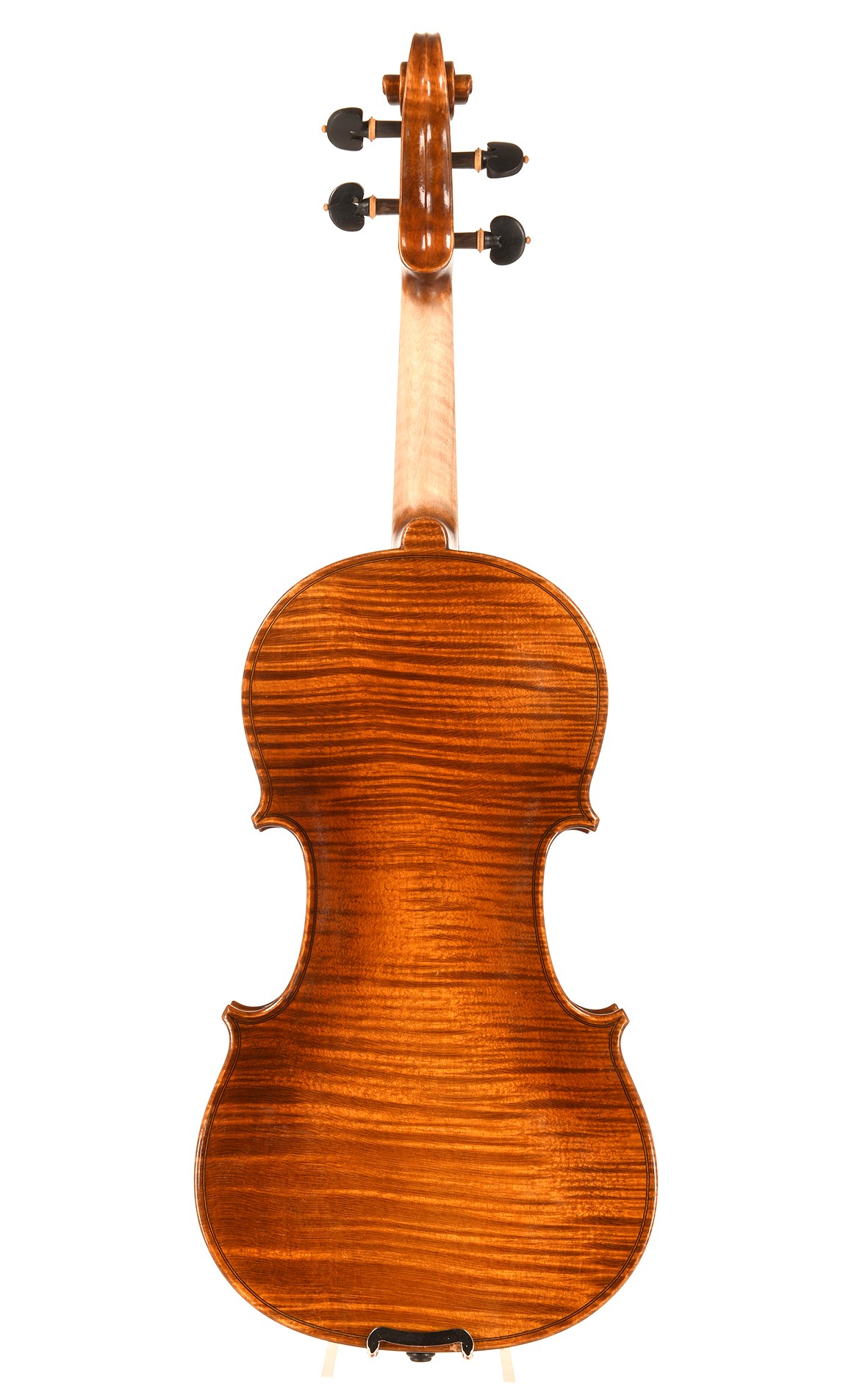 Corilon on sale violin shop