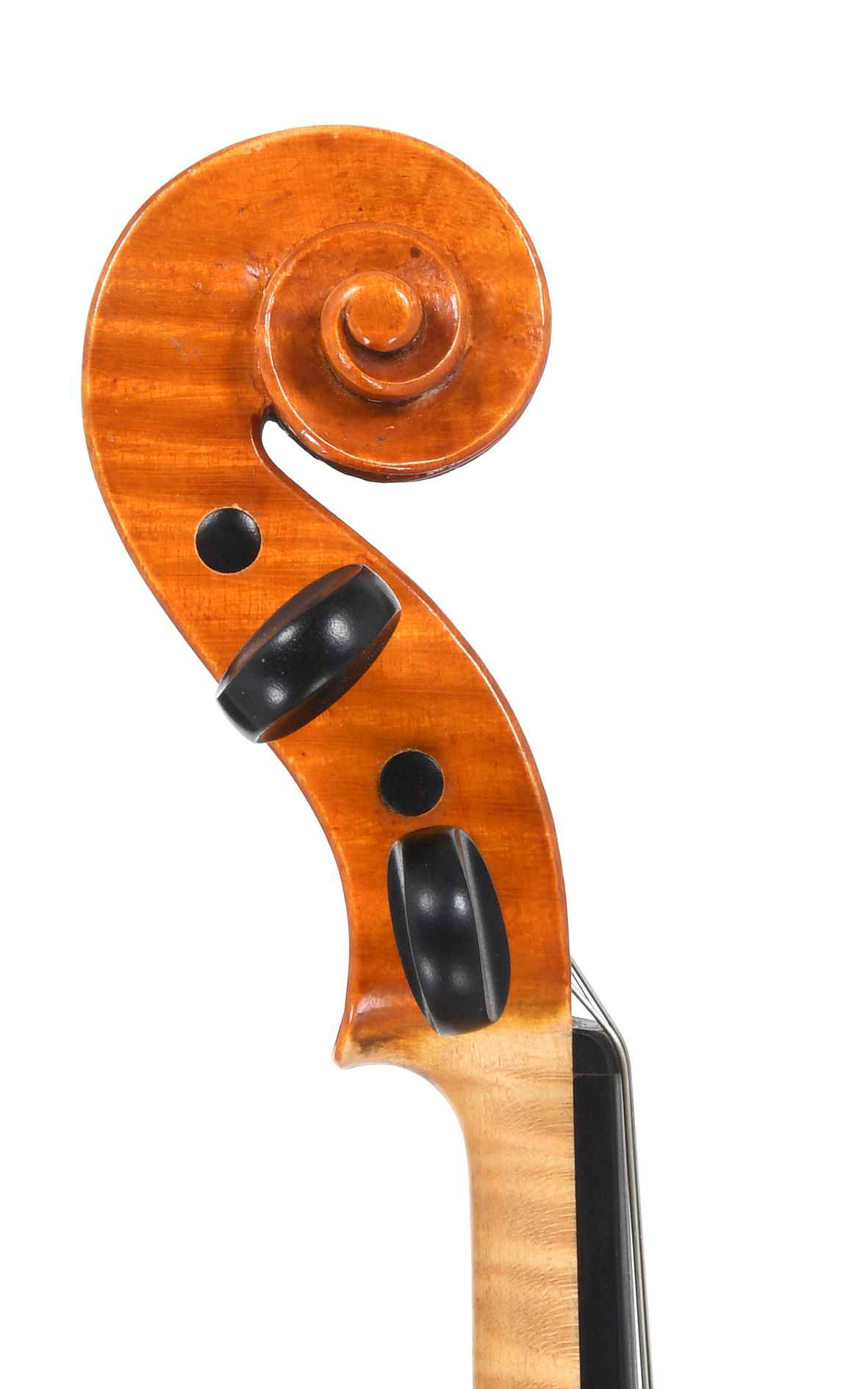 リトルミンストレル クローバー(ハープ)　spring-violinページ リトルミンストレル クローバー(ハープ) spring-violinページ