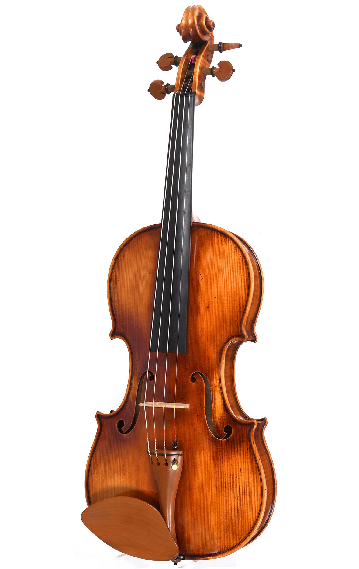 Italian violin by Maurizio Catellani, 2013 (original certificate)