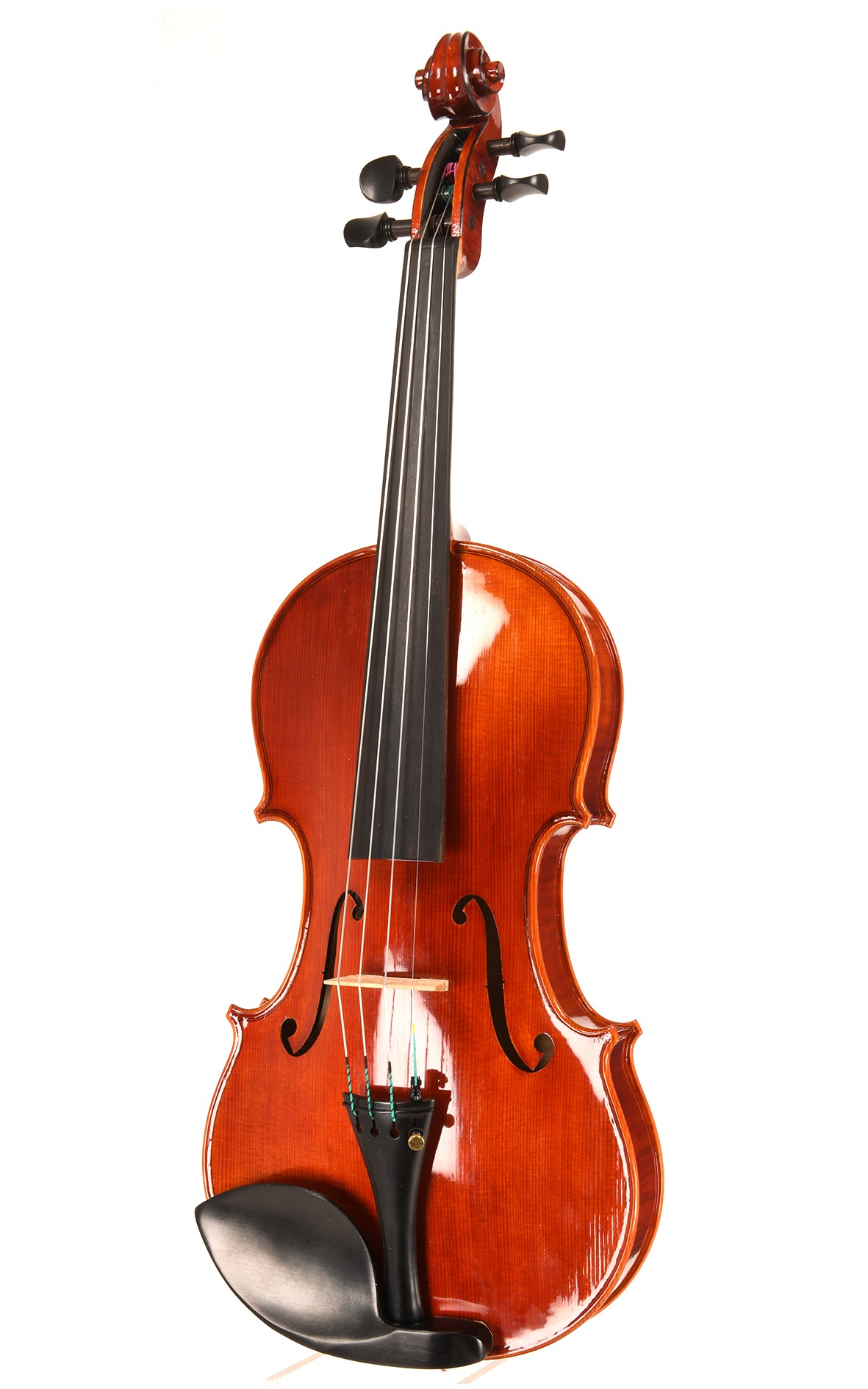 来自克雷莫纳的 Officina Mauro Lucini 6 号小提琴。6
