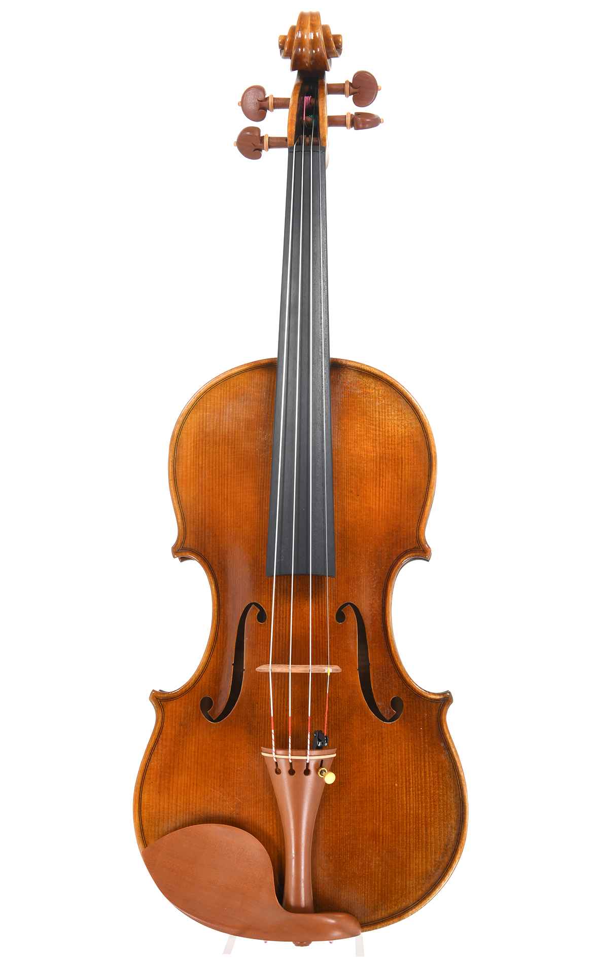 Professional sound: Master violin opus 1 (Guarnerius)