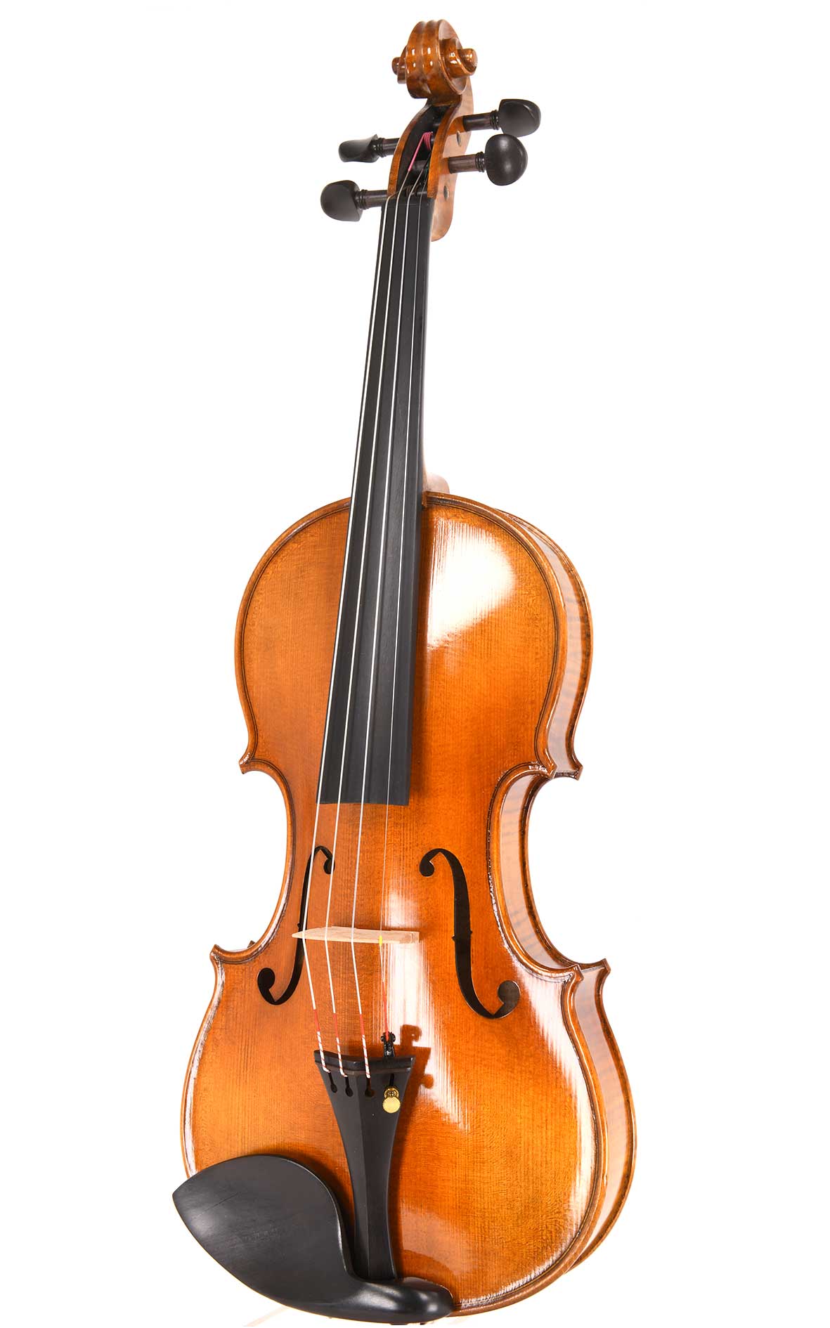 New arrivals | The latest instruments and bows in our catalogue