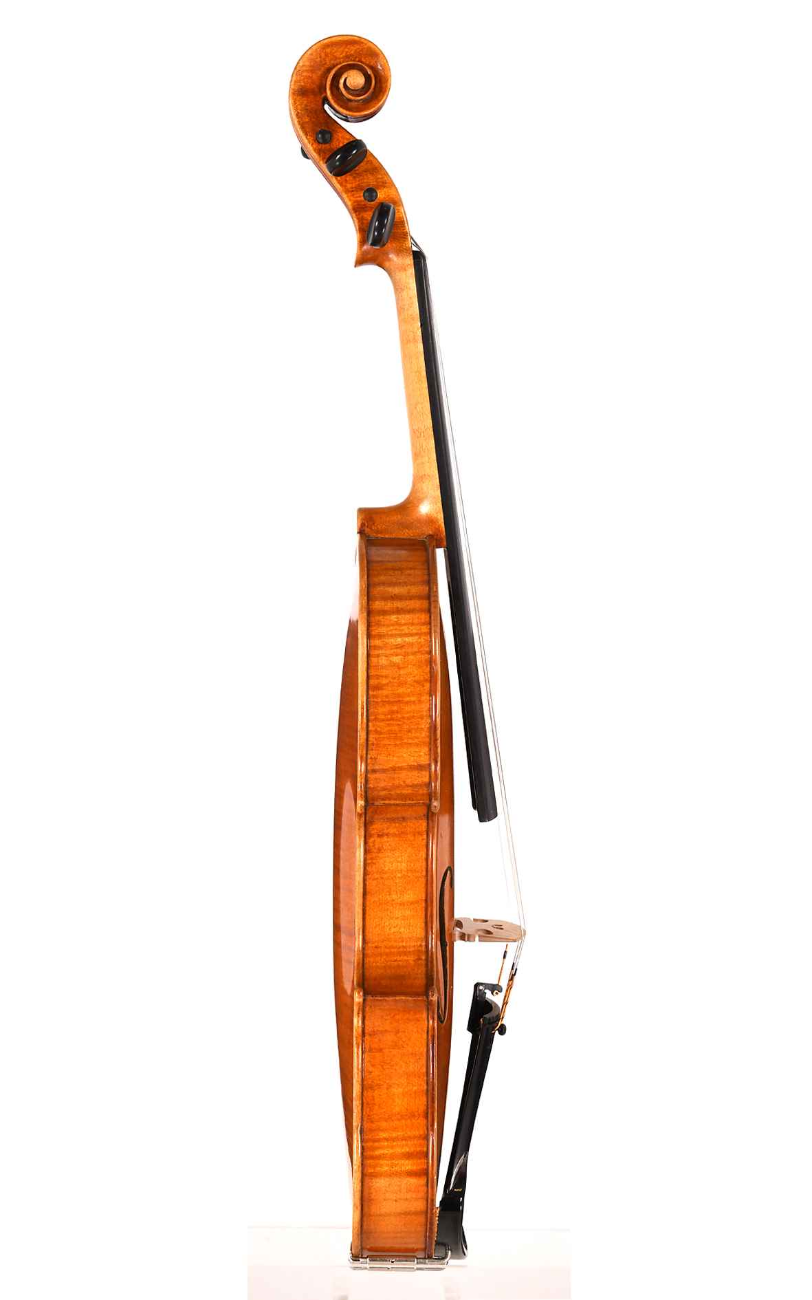 Markneukirchen master violin by Werner Voigt, Guarnerius model