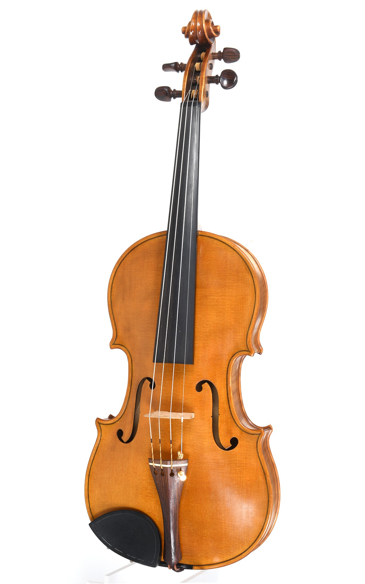 Johann Goldfuss Regensburg