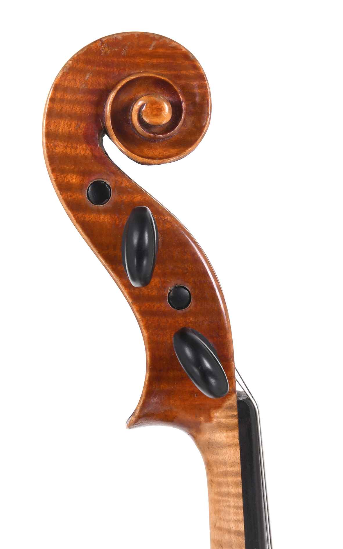 Scherl & Roth Shop Adjusted ヴィオラ 40cm Scherl & Roth Shop Adjusted ヴィオラ 40cm - メルカリ