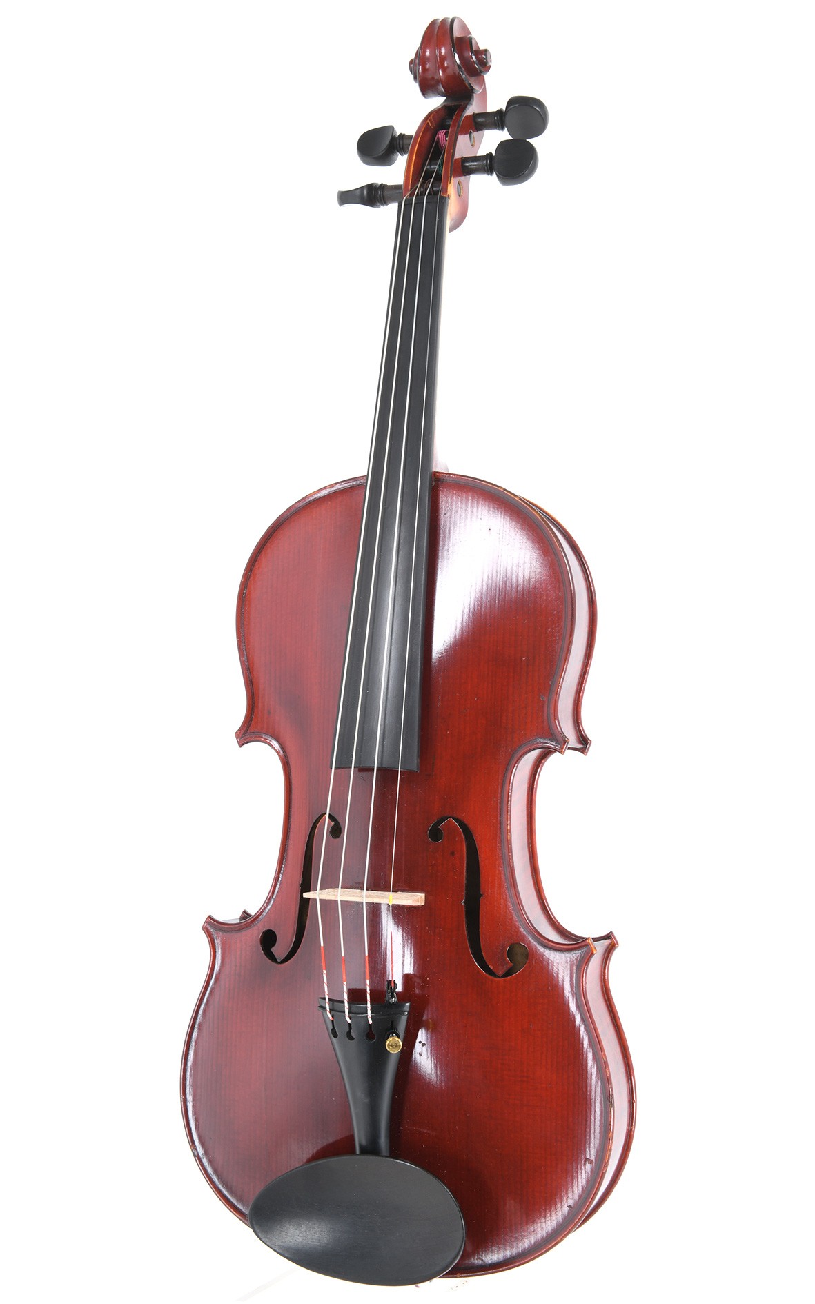 Paul's violin new arrivals