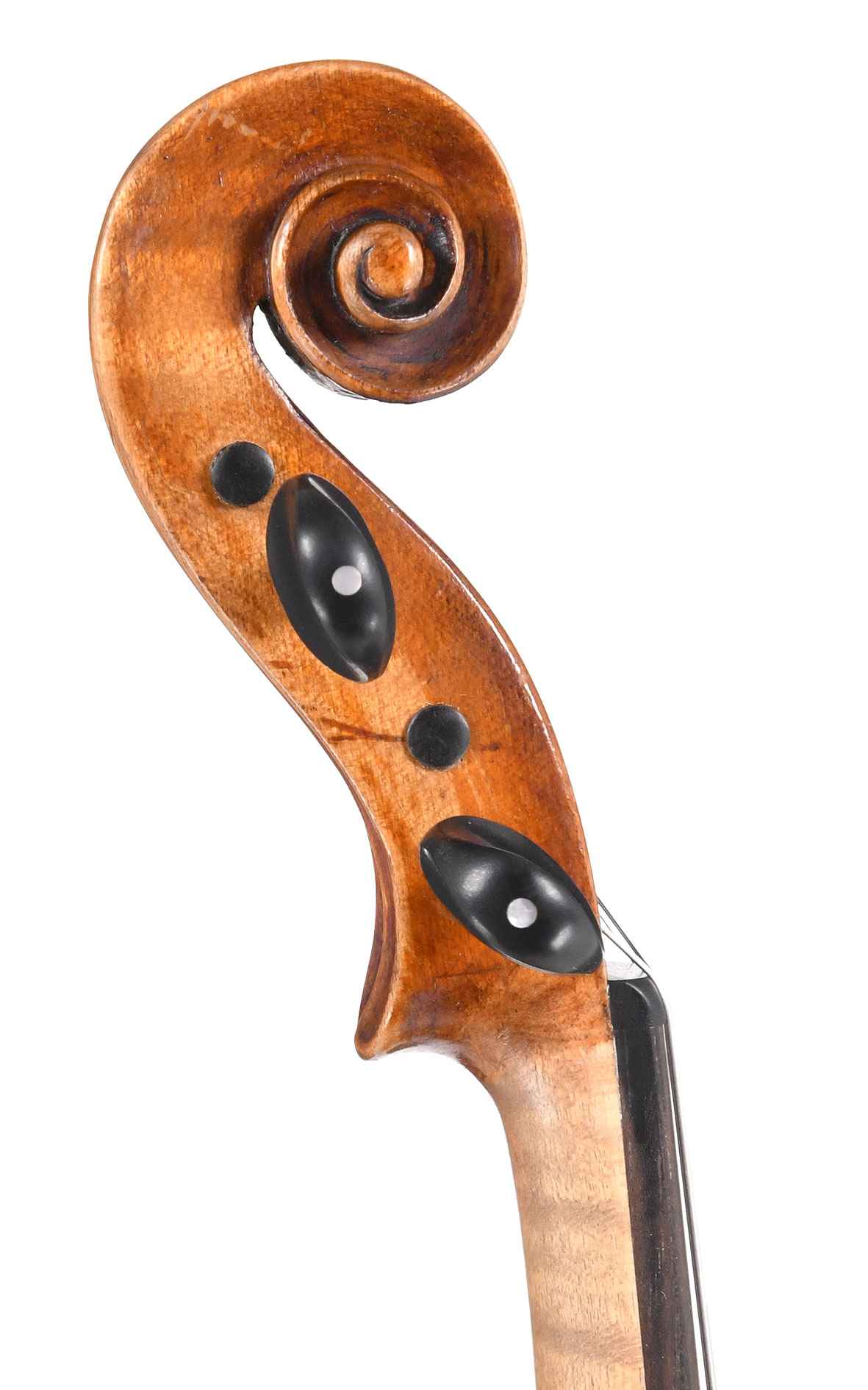 Old Saxon violin, around 1920 violinist