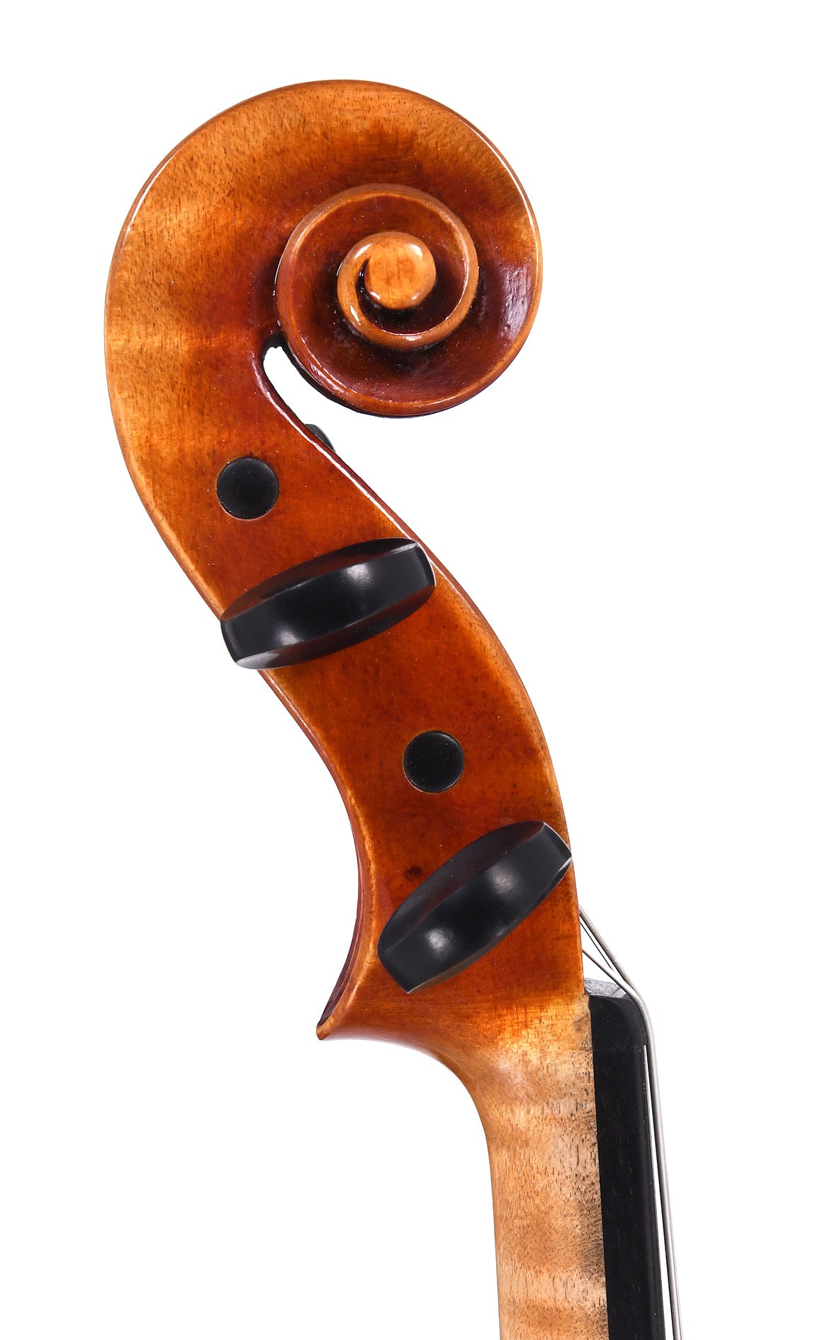 Contemporary German master violin by Corilon violins violinist's