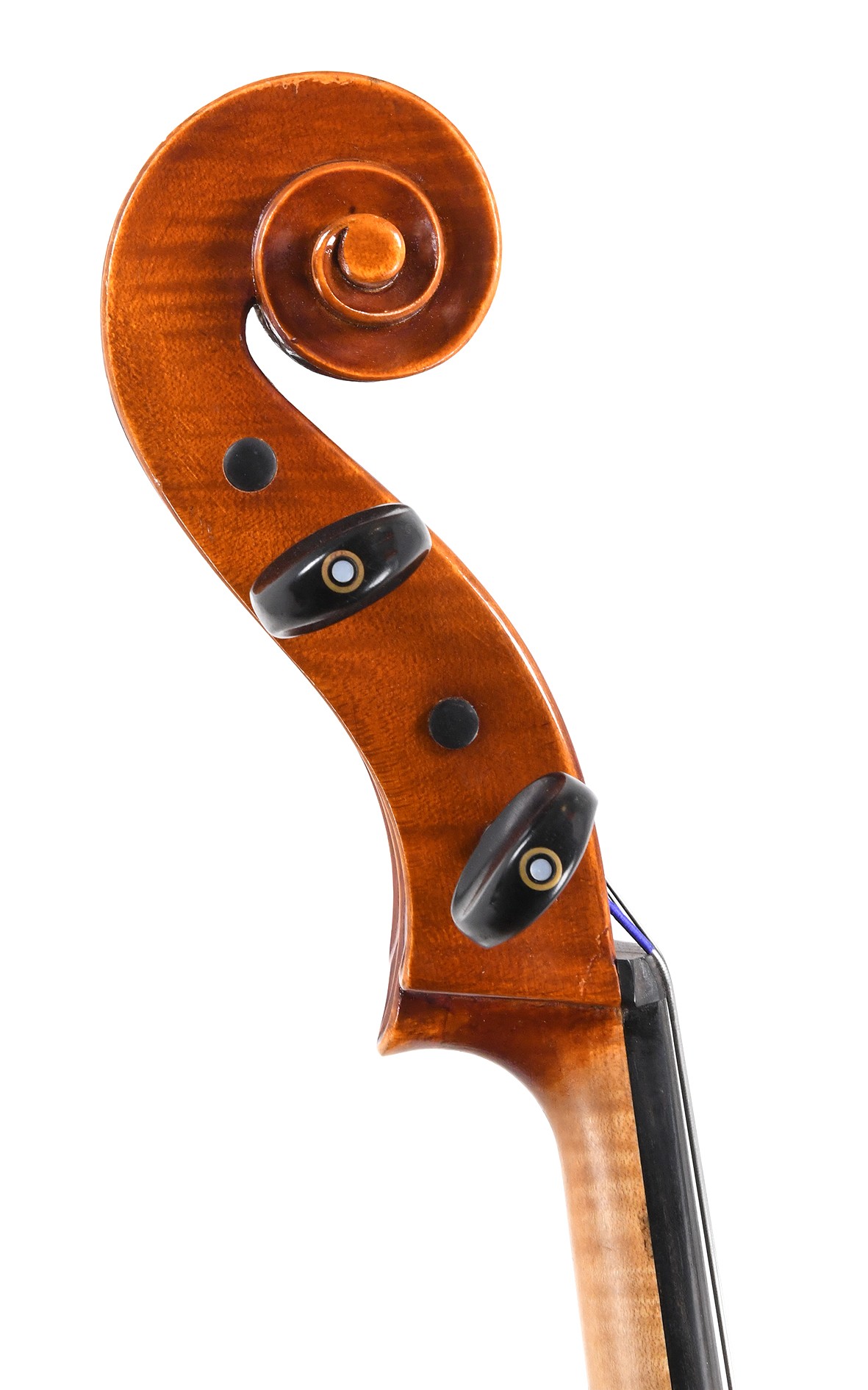 Deutsches Cello, Schnorr Hamburg 1973