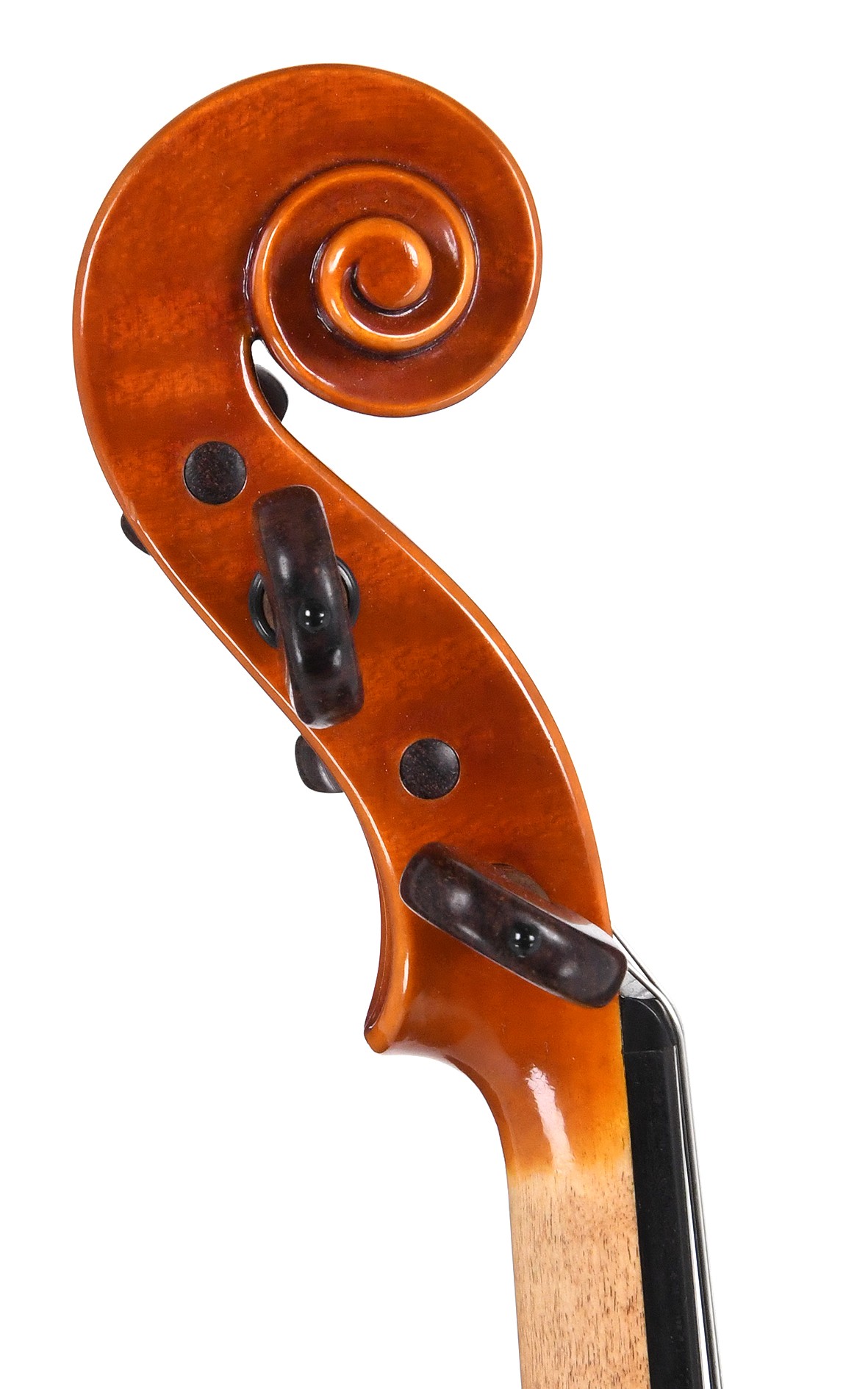 Contemporary Italian violin by Nicola Vendrame, Venice