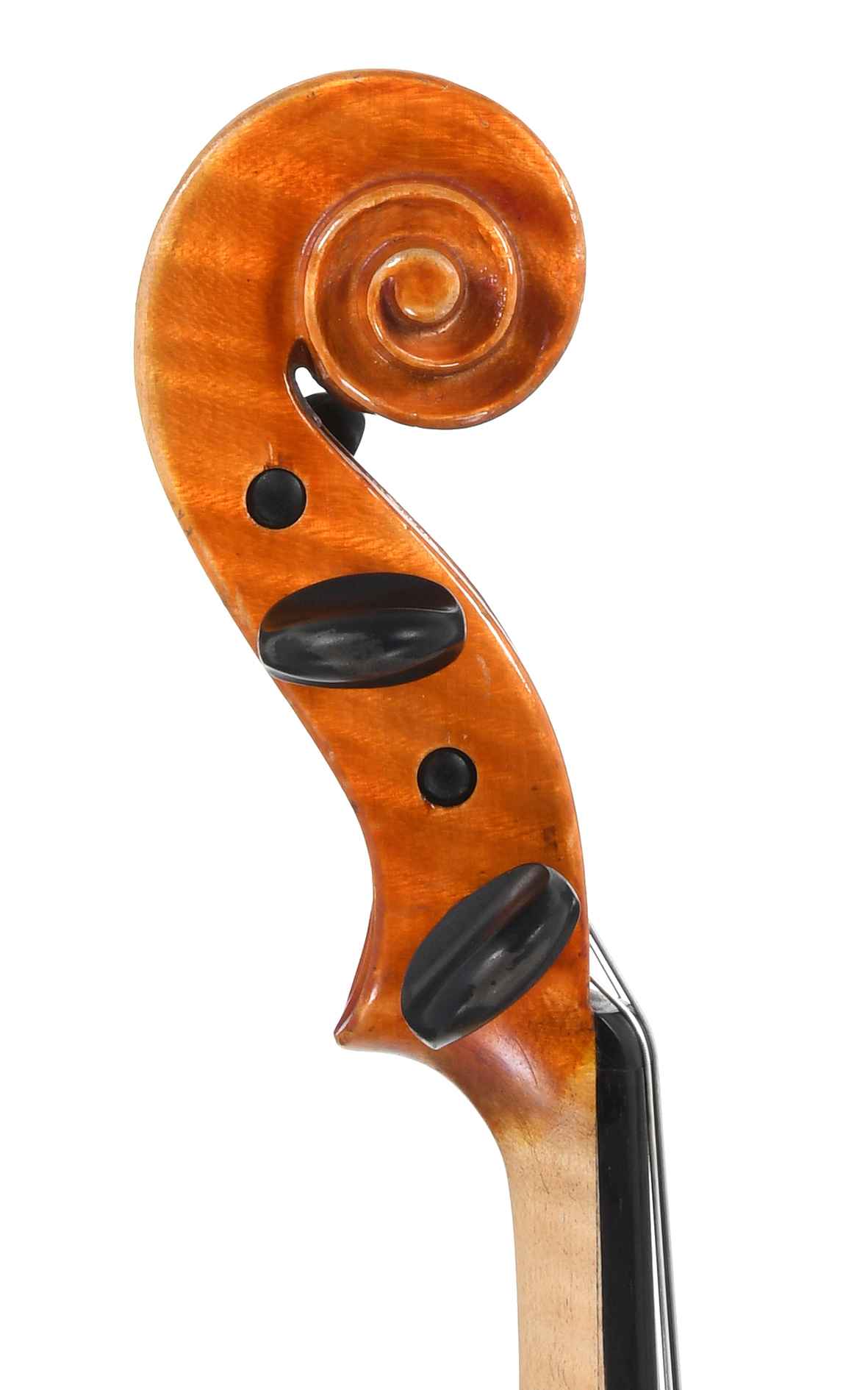 Poggiaspalla Pieghevole VIVA Knilling Per Violino 1/8 O 1/16 - VLMS6
