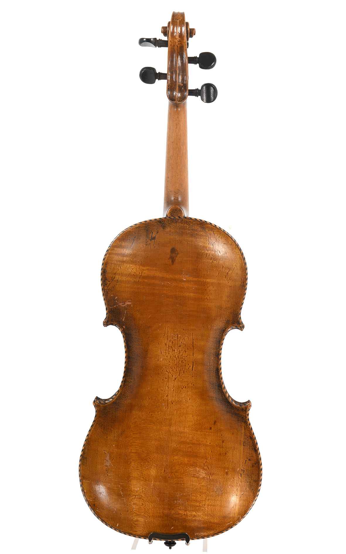 lionhead-saxony-7476-