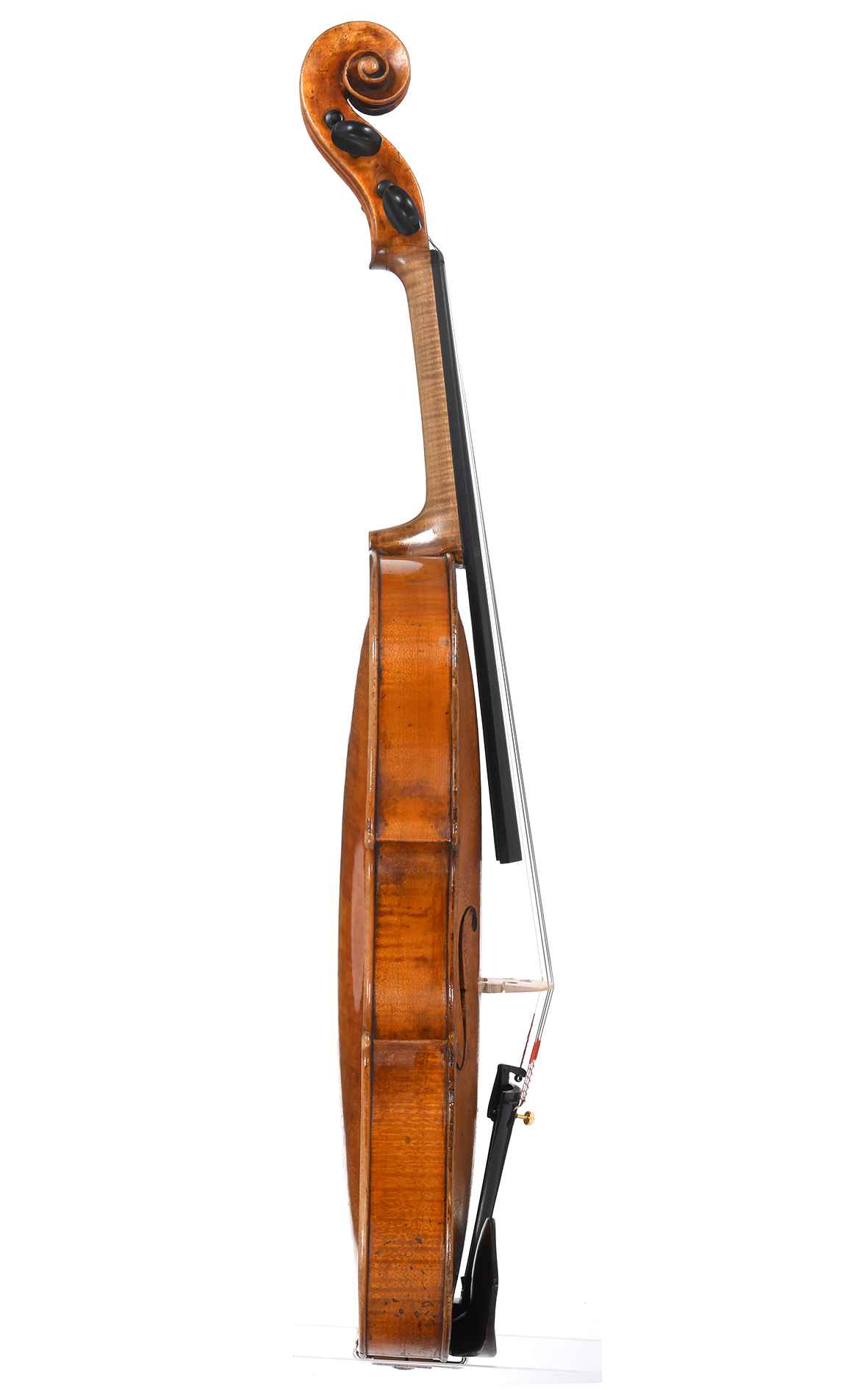 モダンヴァイオリン　(a modern french　violin) モダンヴァイオリン (a modern french violin) モダンヴァイオリン (a