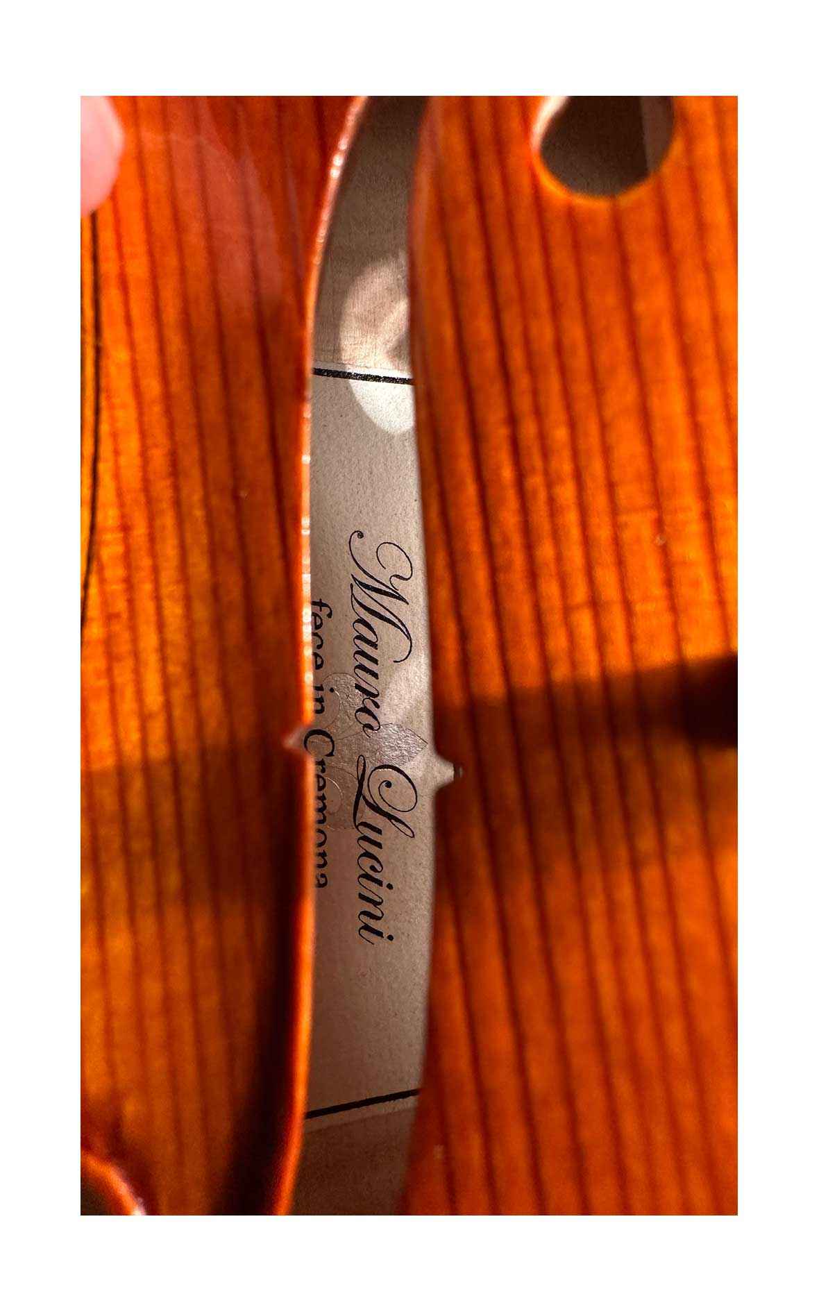 Cremona violin no.45 - Officina Mauro Lucini, Cremona 2024
