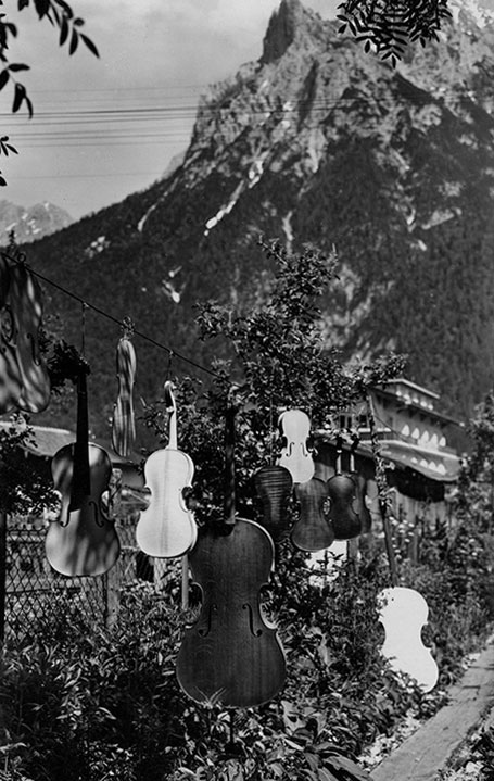 Mittenwald violins drying in the sun: traditional violin making in Mittenwald