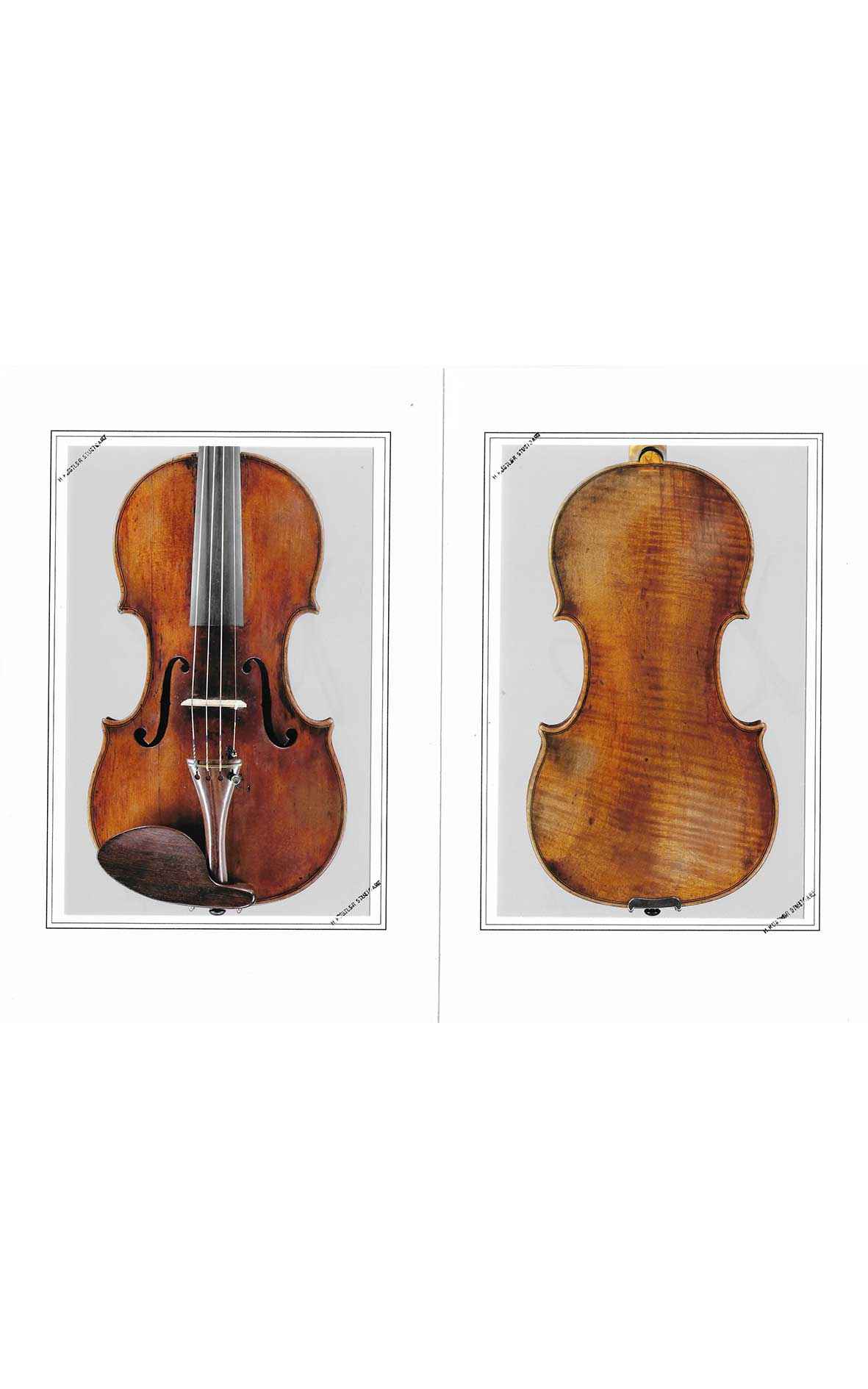 洋書 THE BRITISH VIOLIN John Sexton, London, 1730 – Benjamin Hebbert Violins