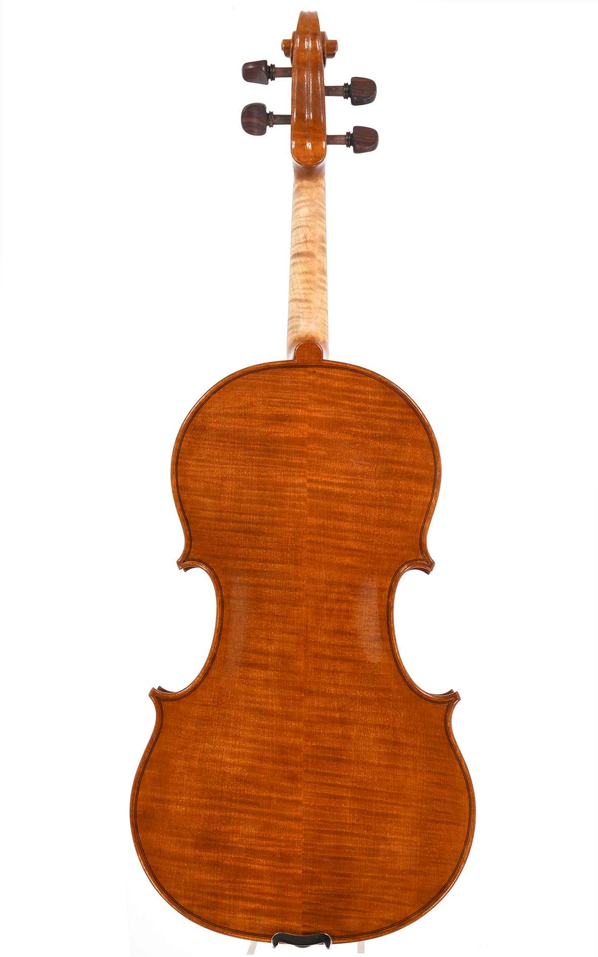 massimo-ardoli-cremona-amati-