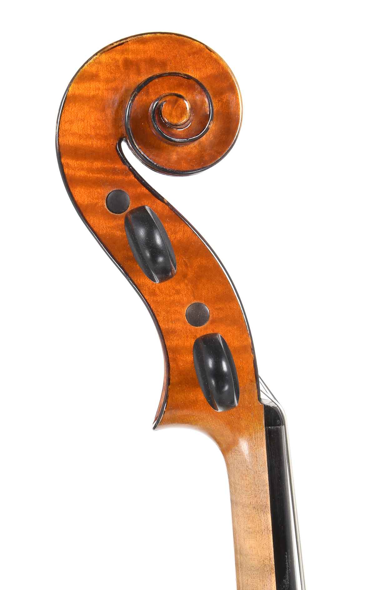 Viola italiana, atribuida a Natale Novelli (certificado Giuseppe