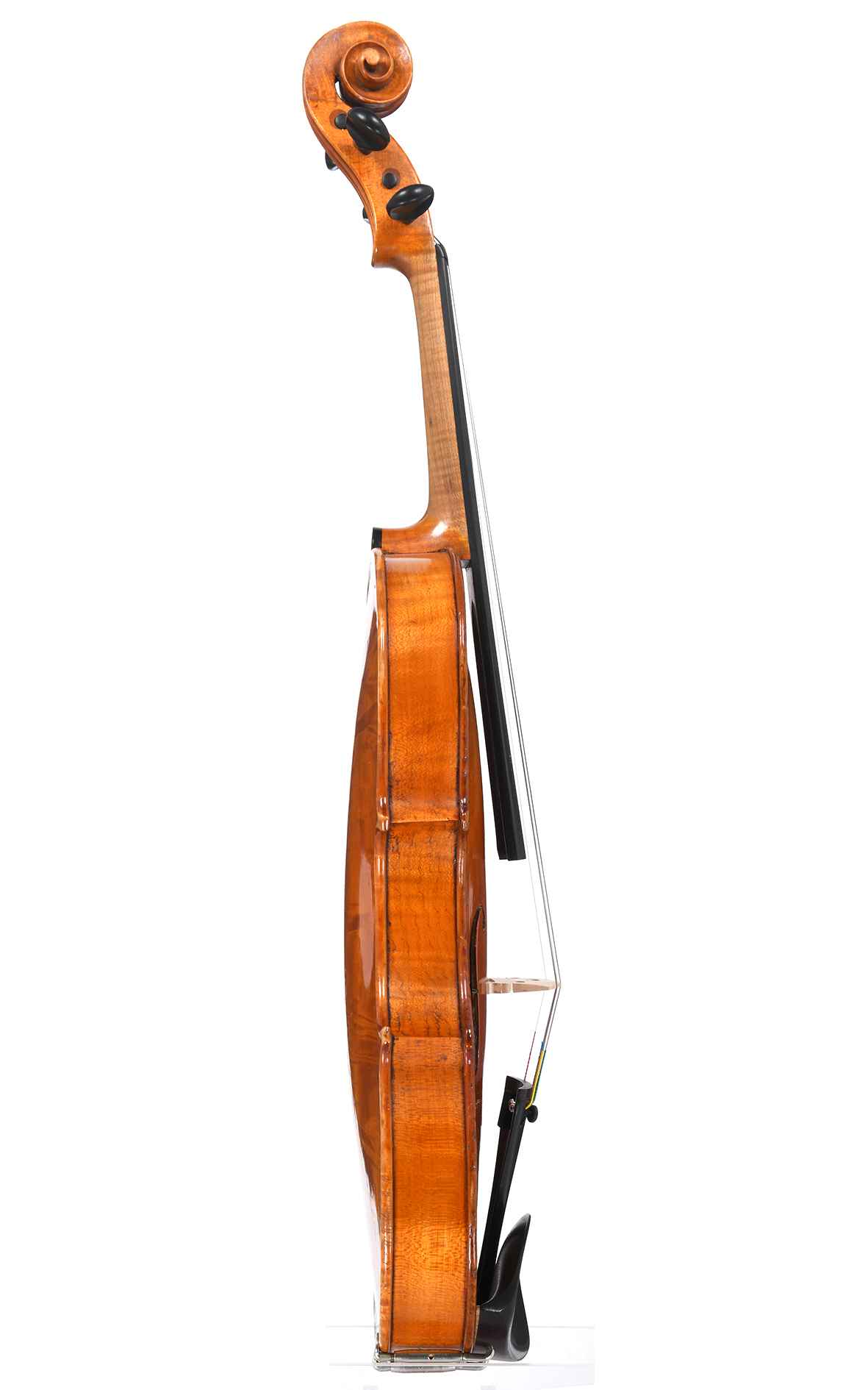Italian violin, Monzino & Figli Milano - Antoniazzi circle