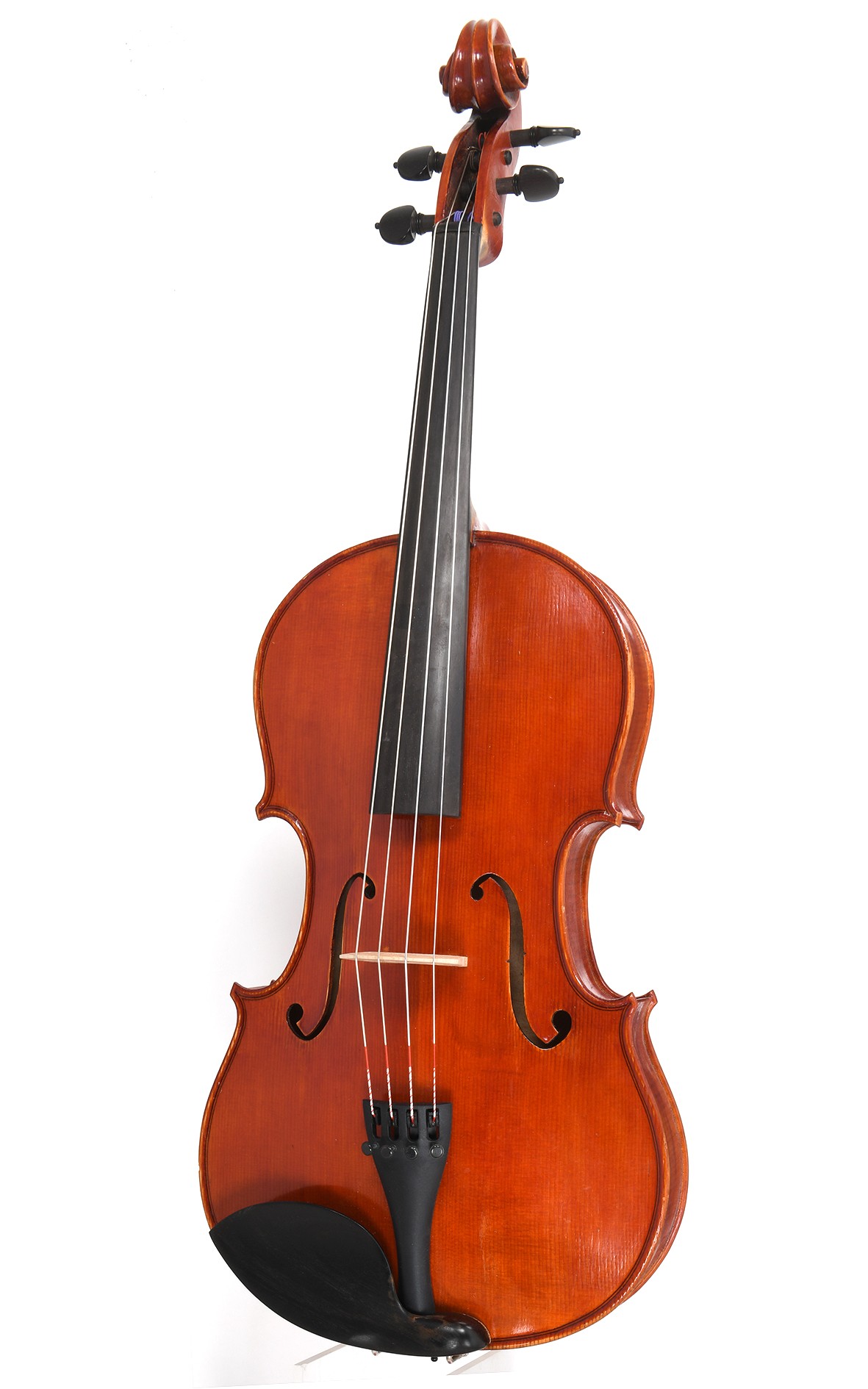 Claudio Perversi Viola