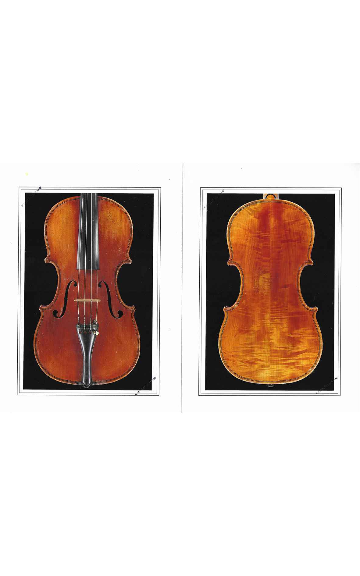 バイオリン　Monzino工房（イタリアミラノ） Italian violin, Monzino & Figli Milano - Antoniazzi circle
