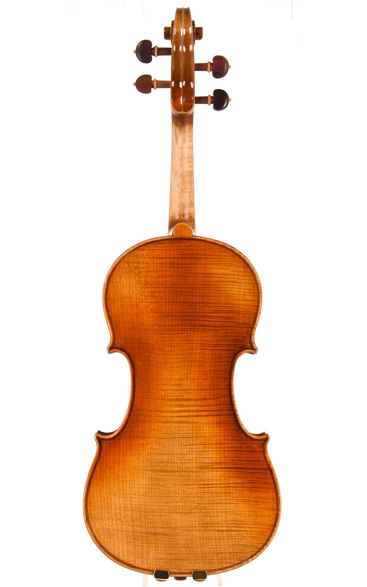 Violin 12 from "CV Selectio" portfolio