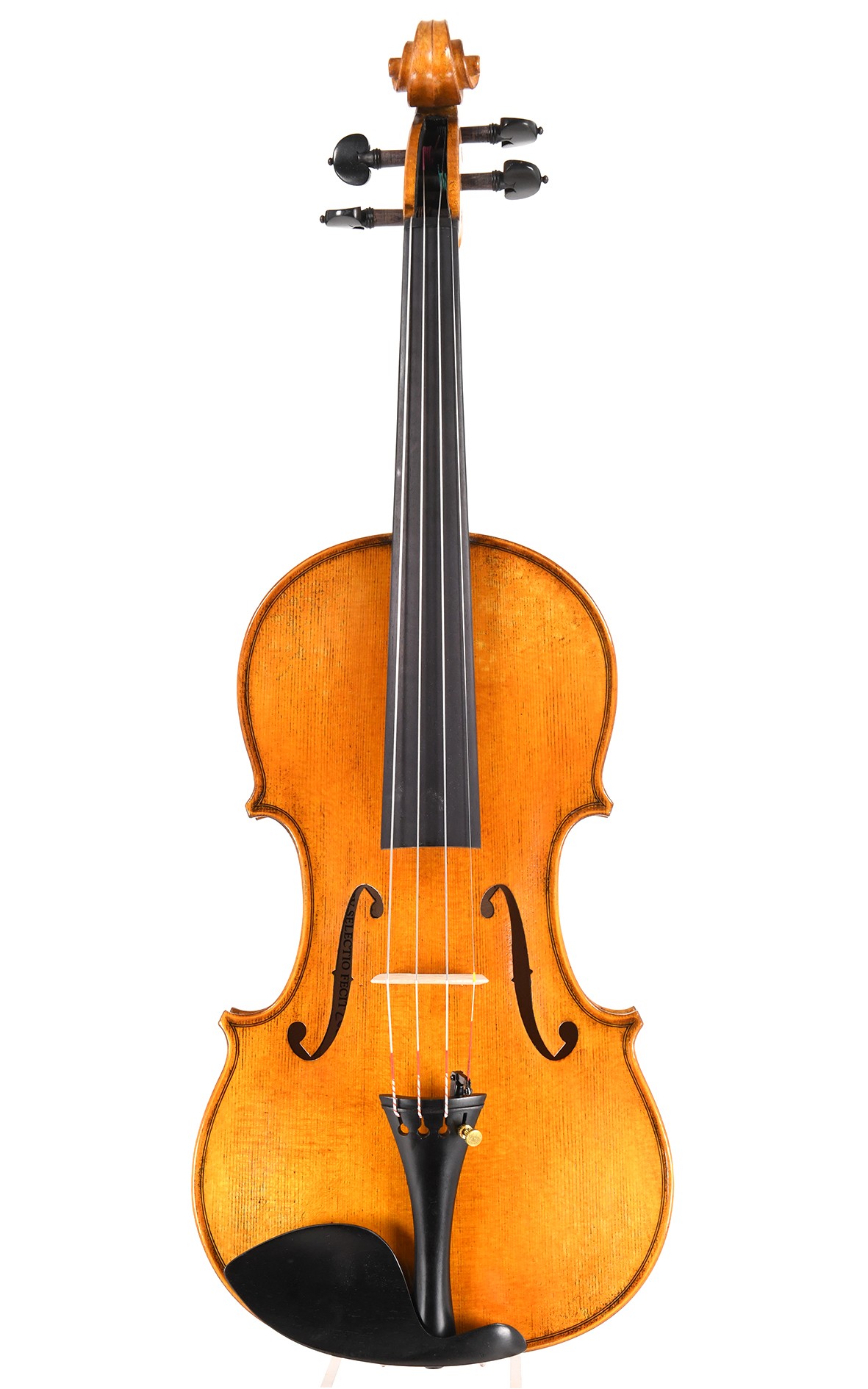 Cv Selectio Guarneri Geige