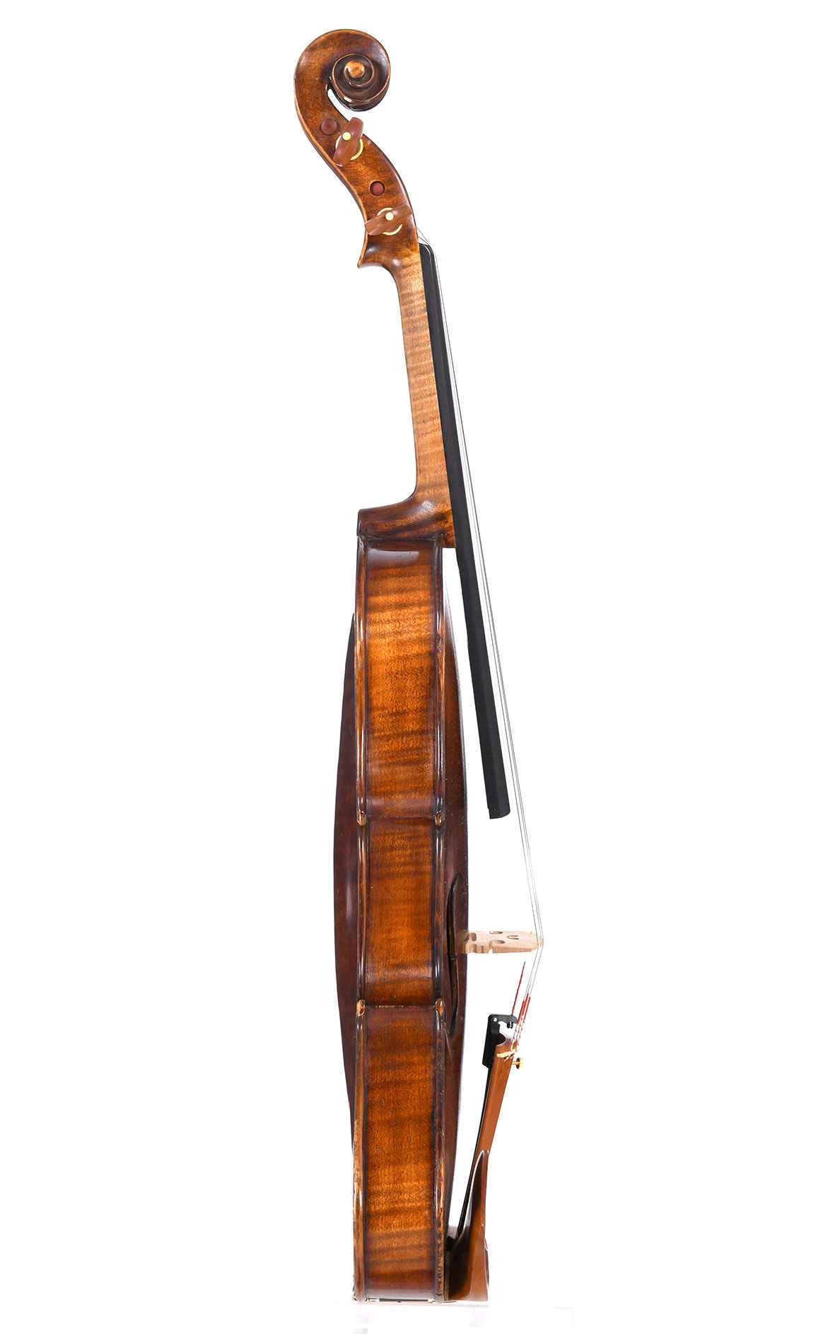 Antique Violin by Friedrich August Meisel senior