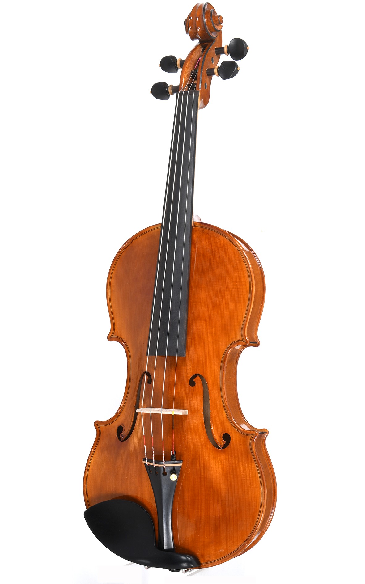 Mauro Lucini Cremona n.81