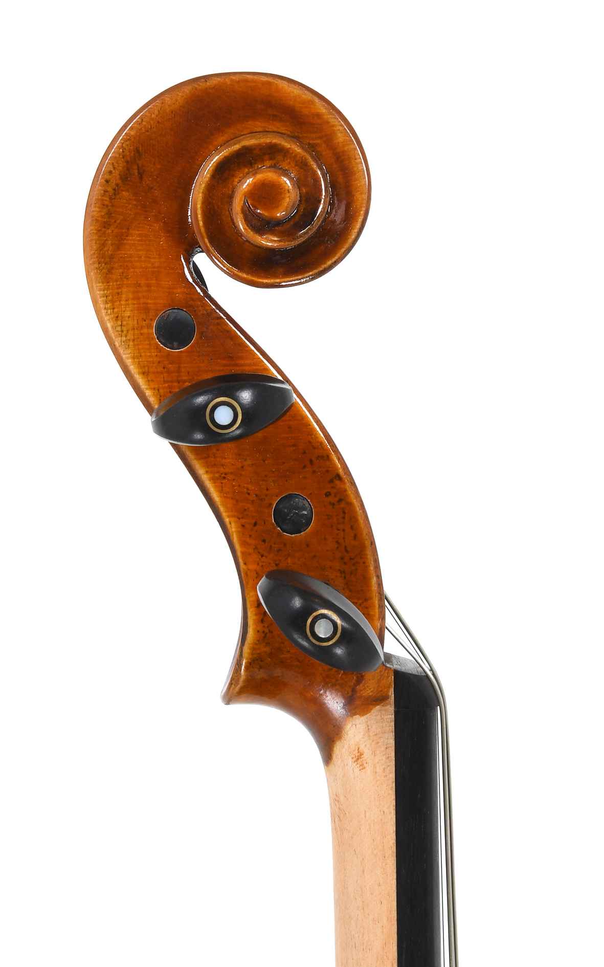 Violin op. 8 (4/4 set)