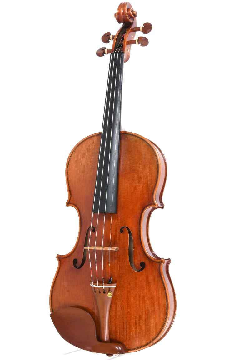 ★ A Histrical Old Violin /鑑定書有り ☆ A Histrical Old Violin /鑑定書有り/ 今だけ値下げ