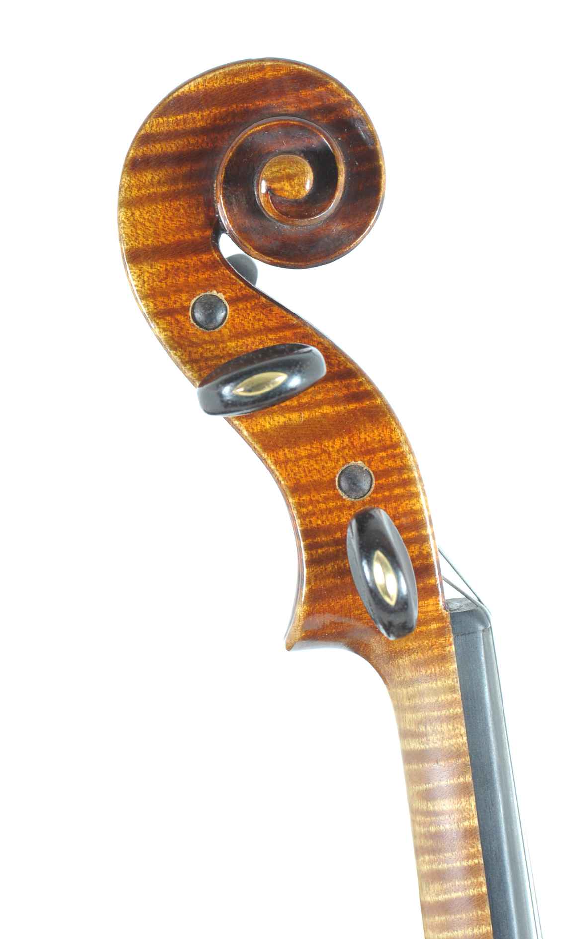 Fine French violin, G. Apparut "CharotteMillot"