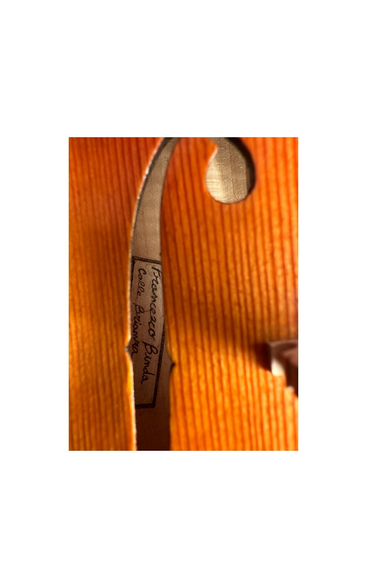 Italian violin, Francesco Binda 2023 Guarnerius