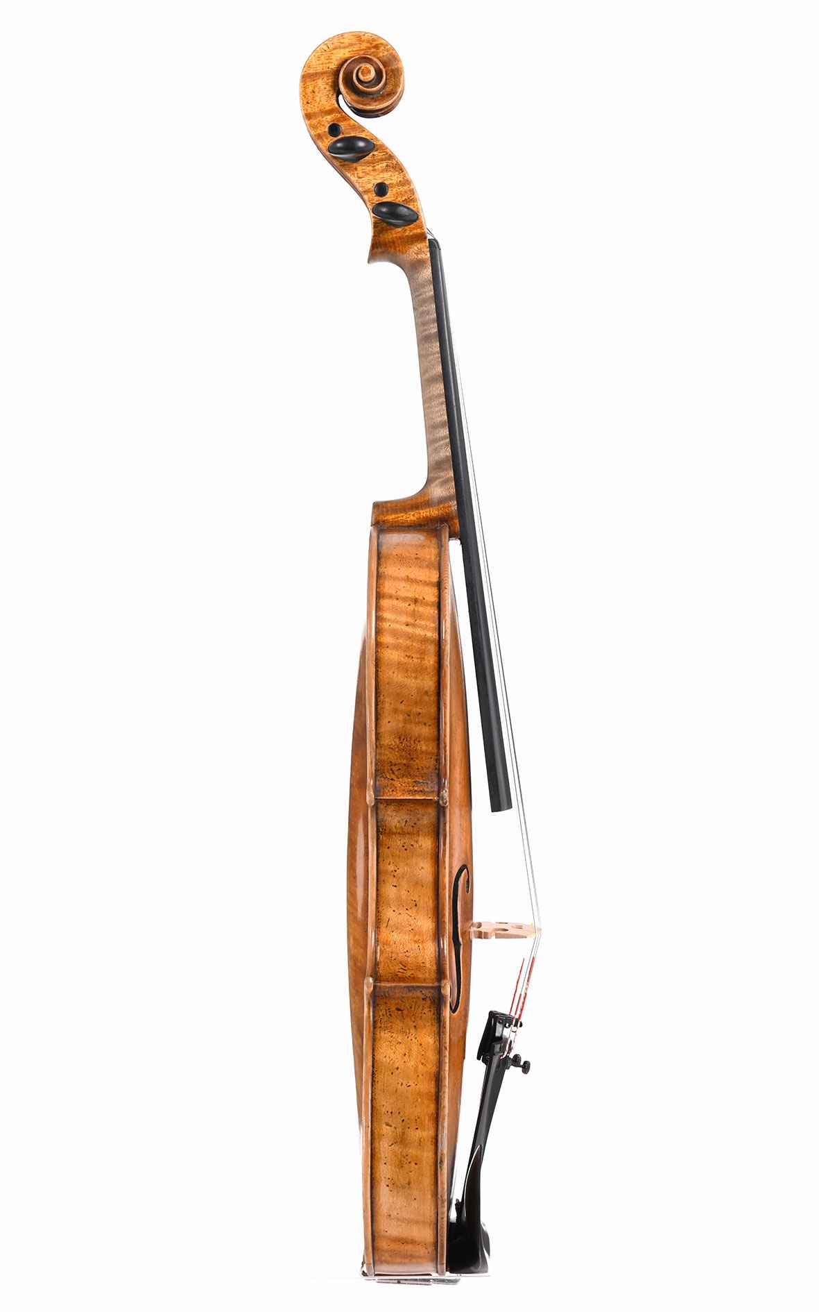 Old Violin from Saxony, c.1900, after J. B. Schweitzer
