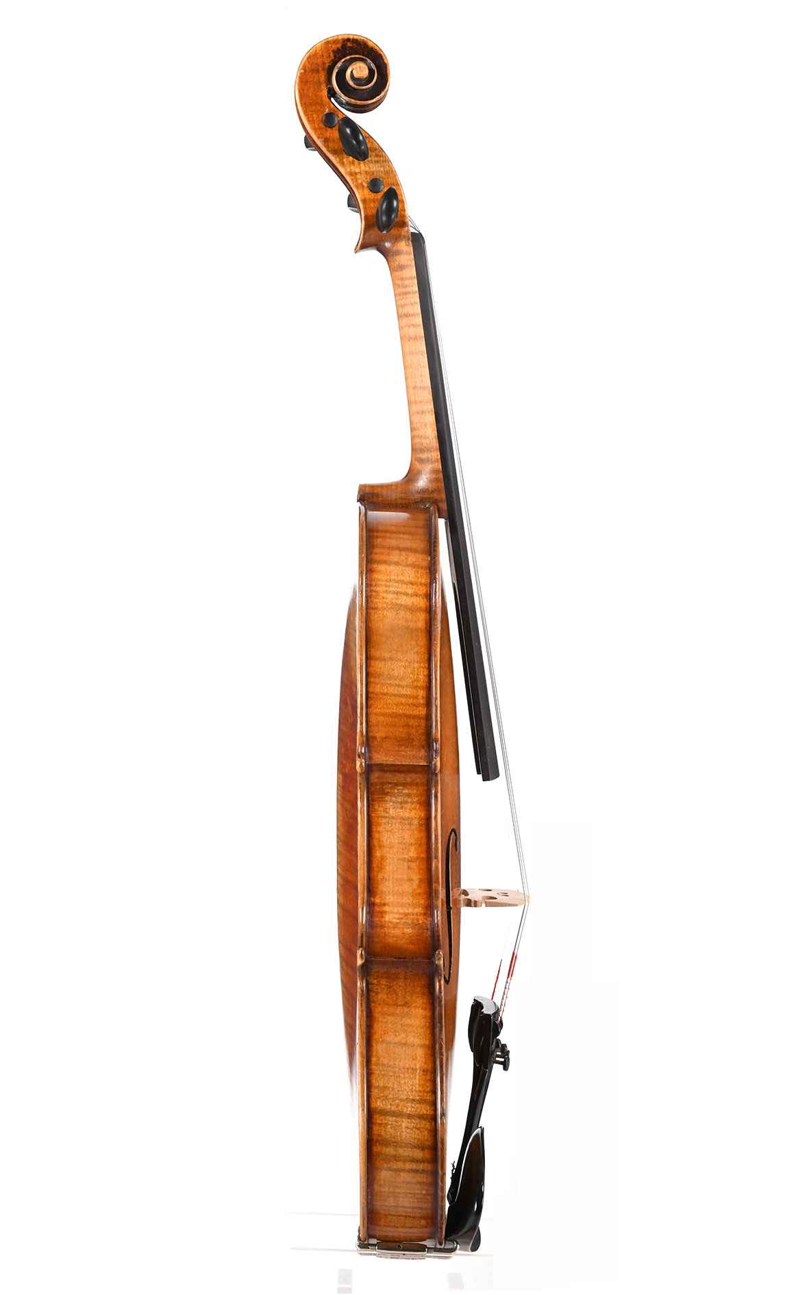 Old Violin by A. C. Glier, Markneukirchen approx. 1900