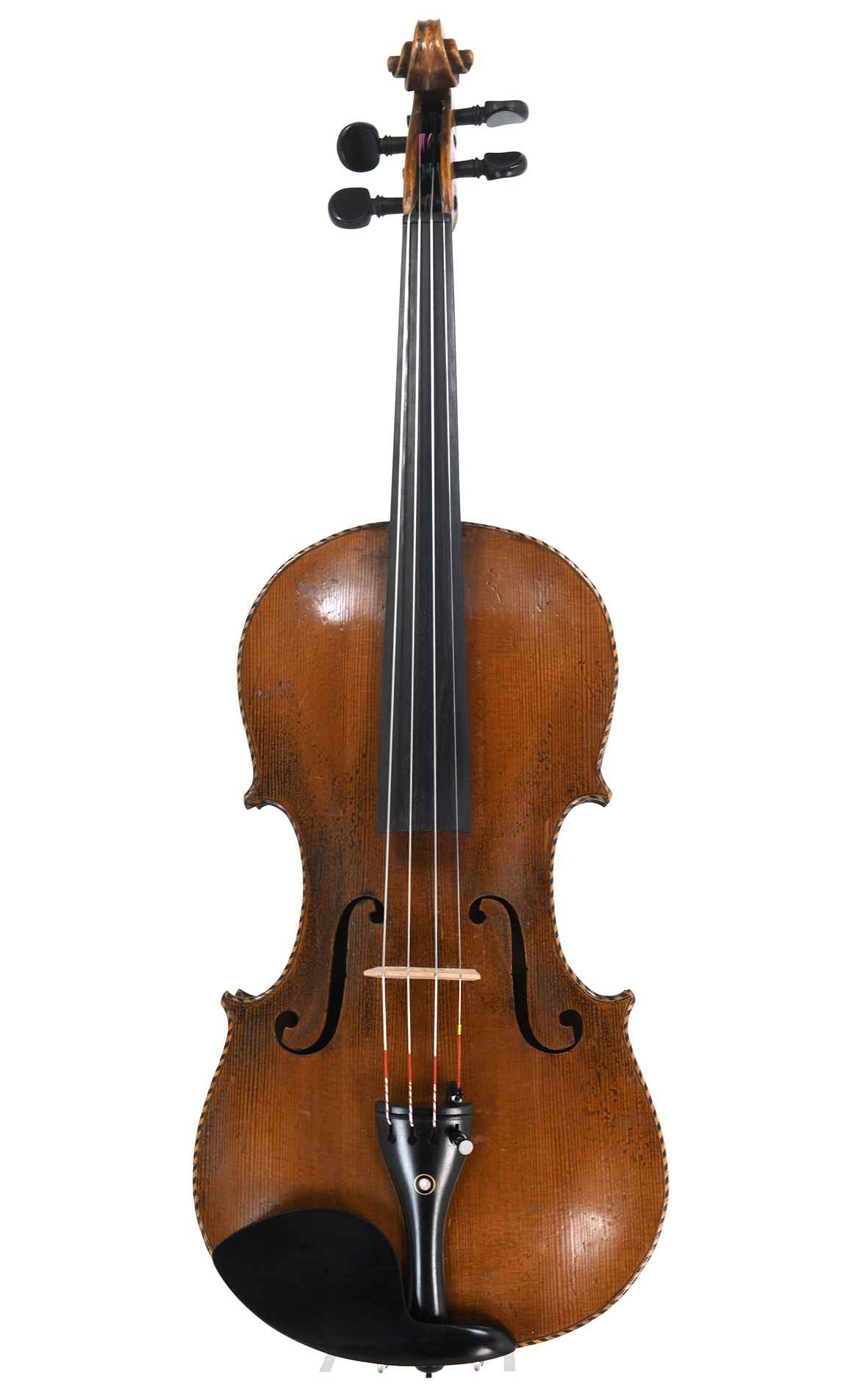 lionhead-saxony-7476-