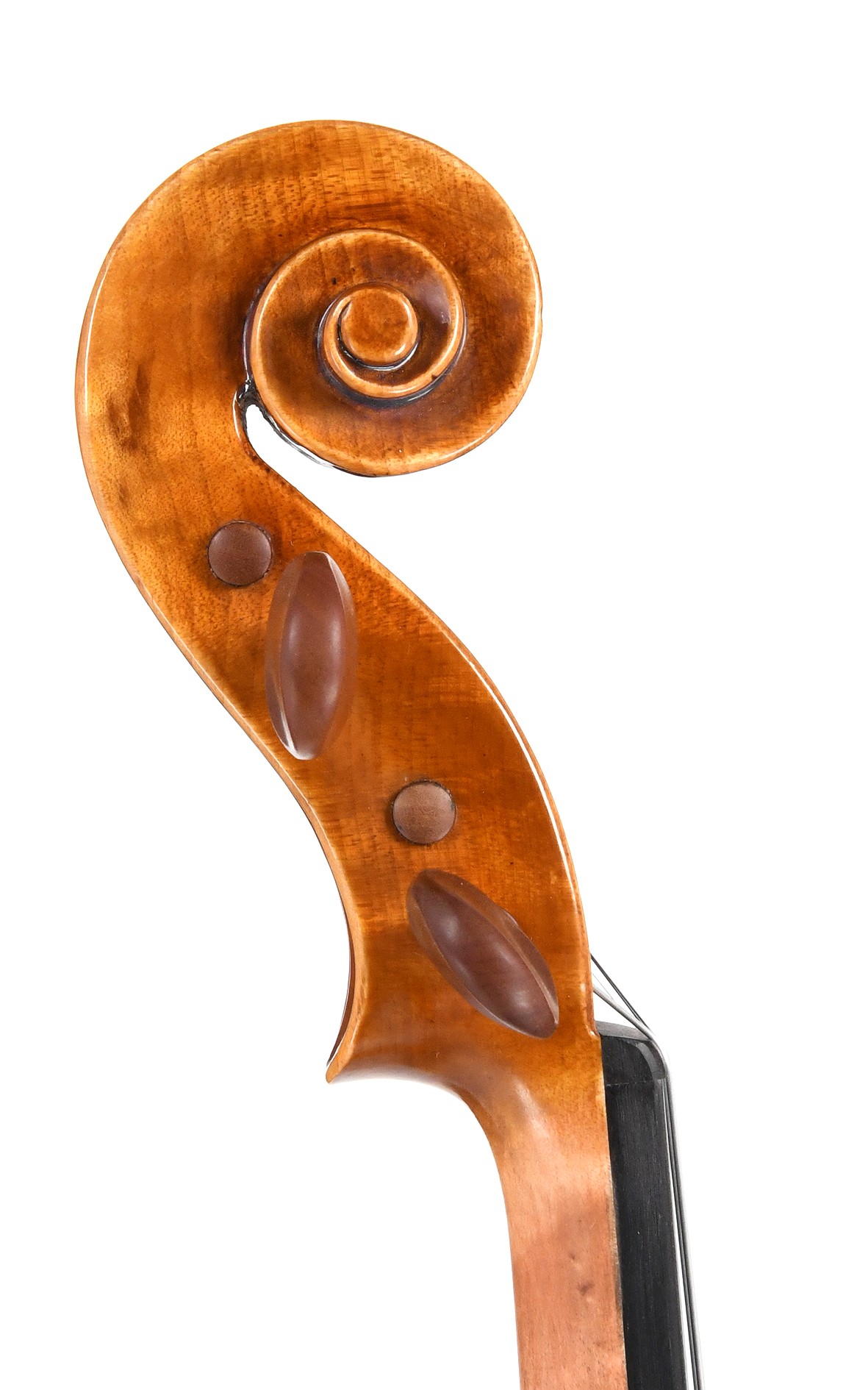 Modern violin. Handmade from the year 2012