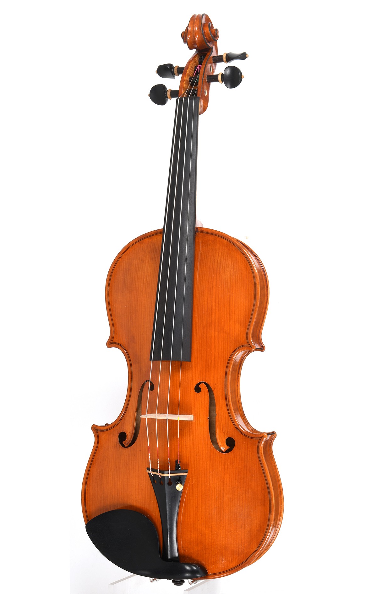 Mauro Lucini Cremona n.34