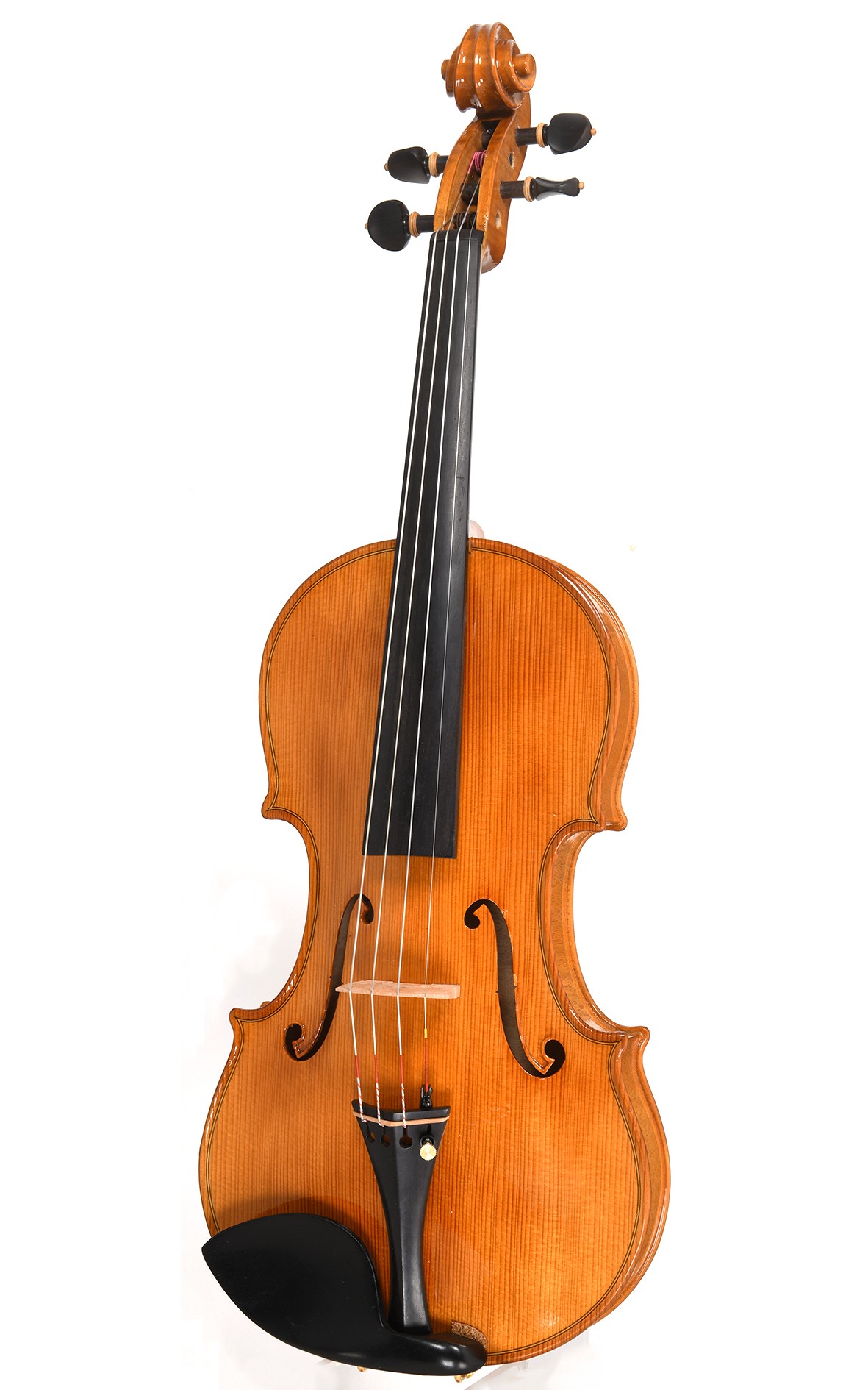 Mauro Lucini Cremona: Guanerius n.77