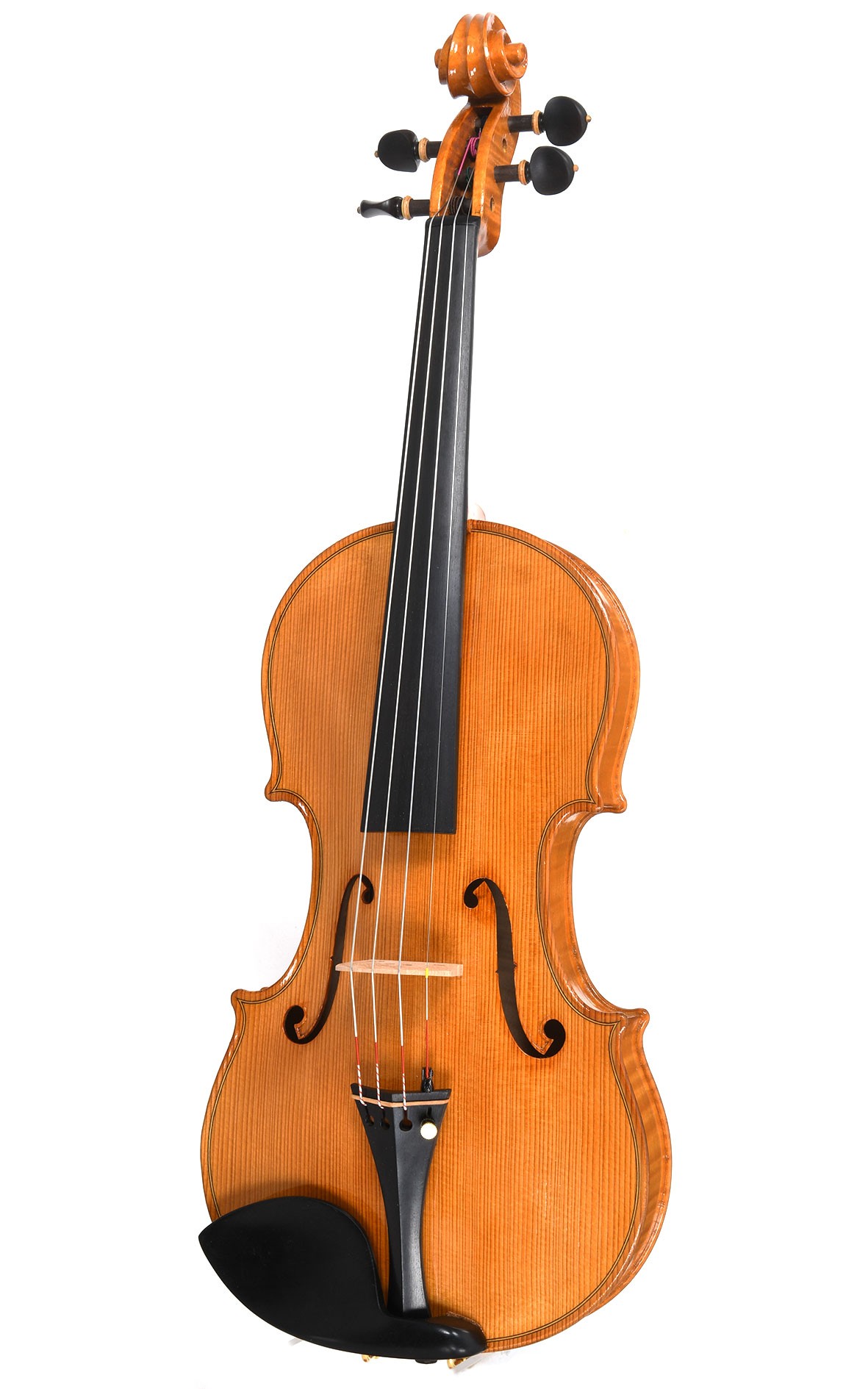 Mauro Lucini Cremona n.66