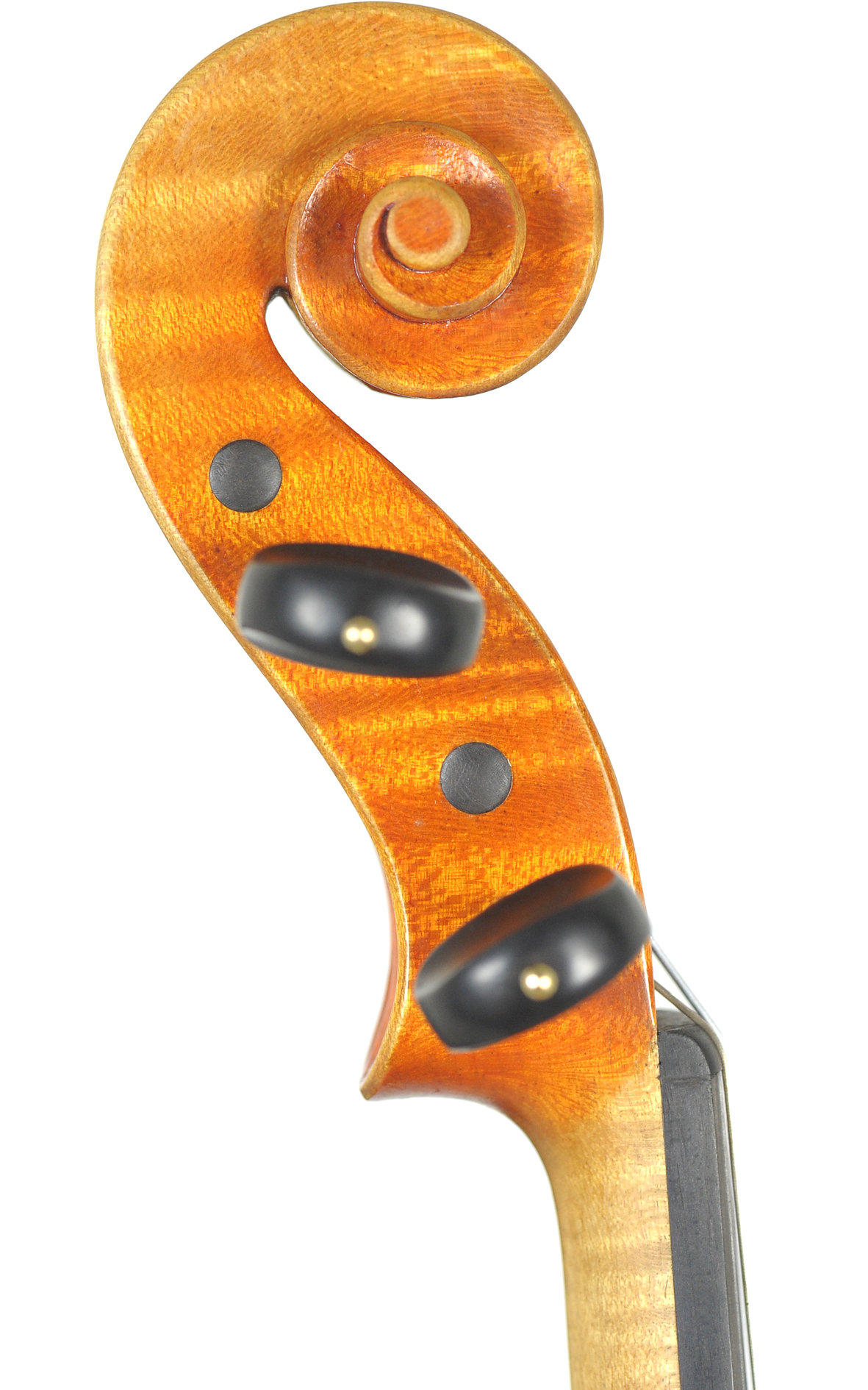 Contemporary Italian violin from the Otello Bignami school Gianni